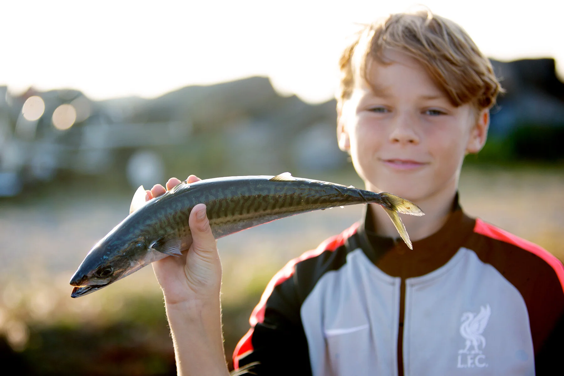 blogg-210909makrillfiske29.jpg