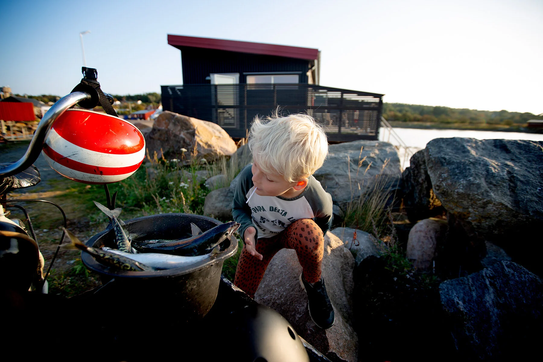 blogg-210909makrillfiske30.jpg