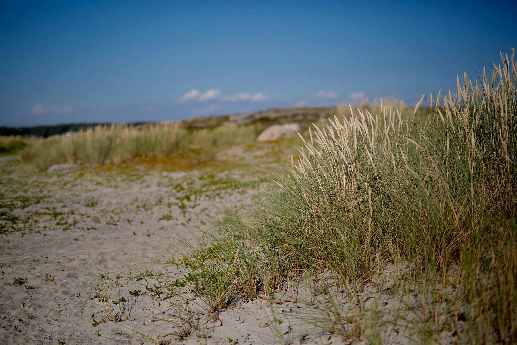 blogg-210910bale3.jpg