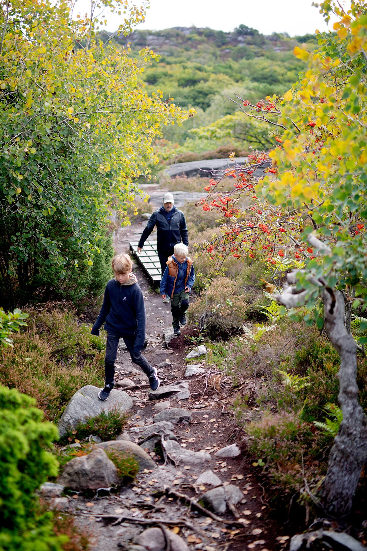blogg-210919koopromenad4.jpg