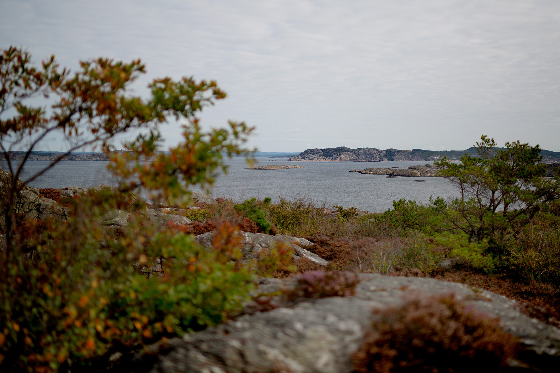 blogg-210919koopromenad5.jpg
