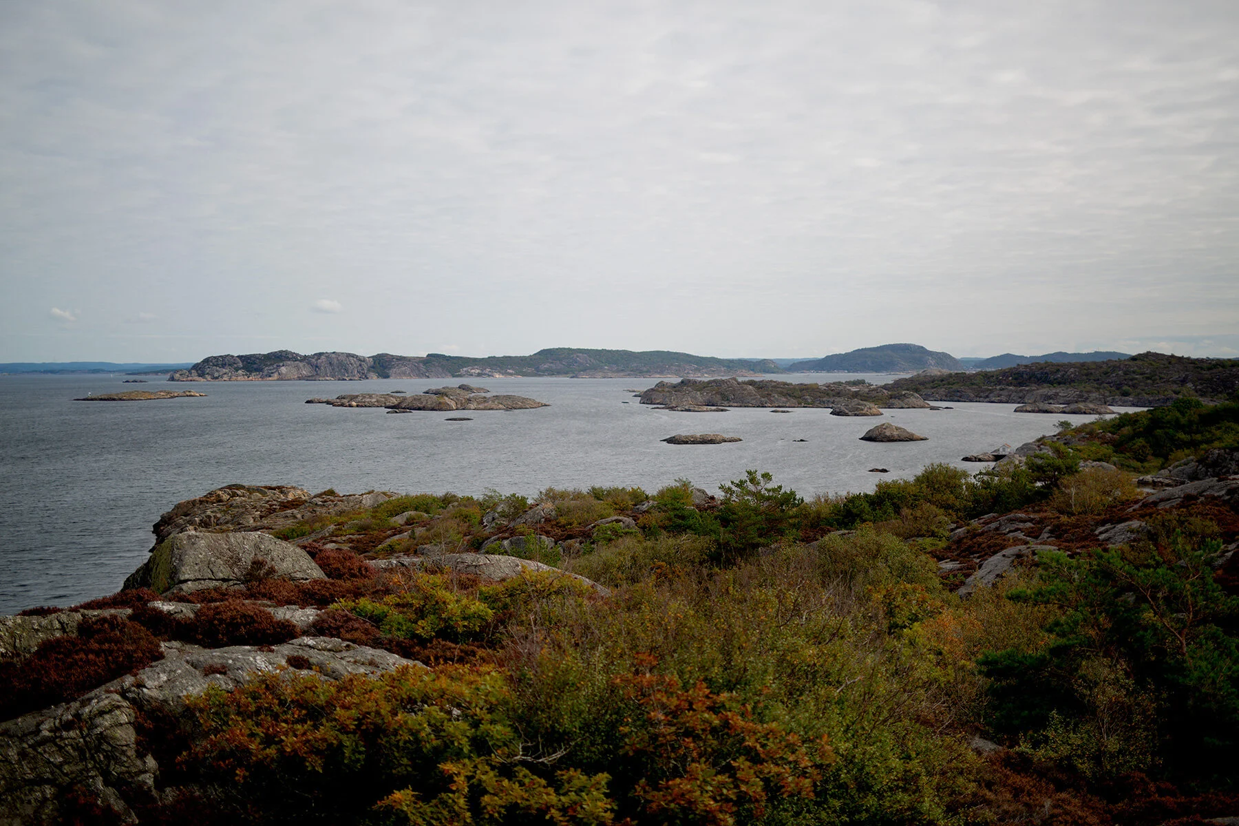 blogg-210919koopromenad7.jpg