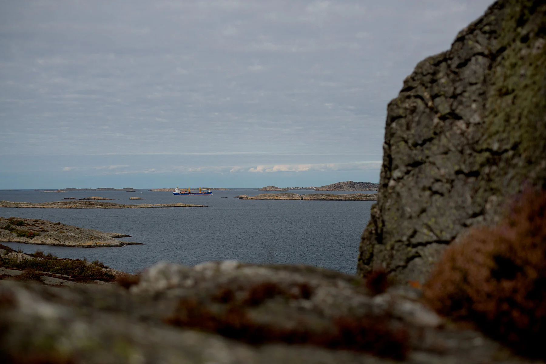 blogg-210919koopromenad9.jpg