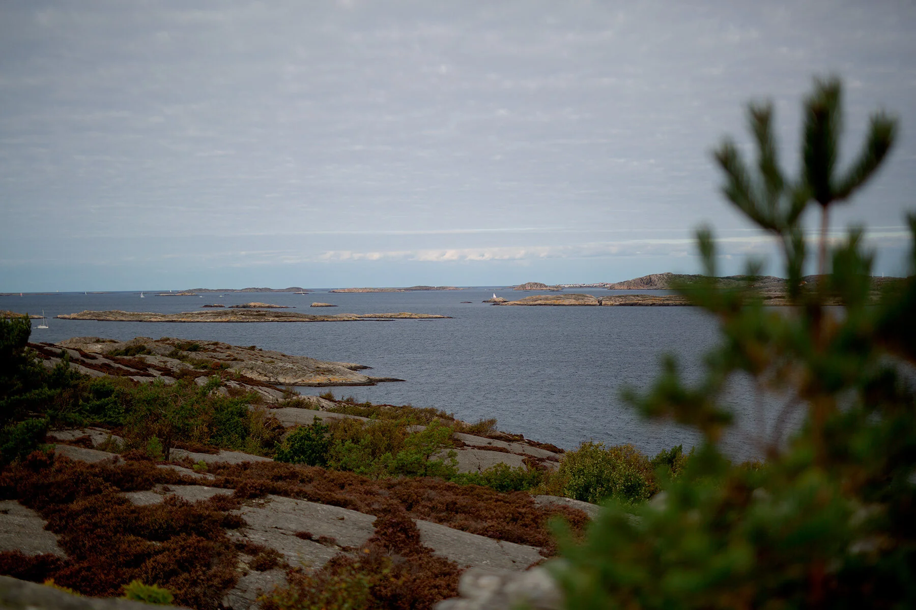 blogg-210919koopromenad14.jpg