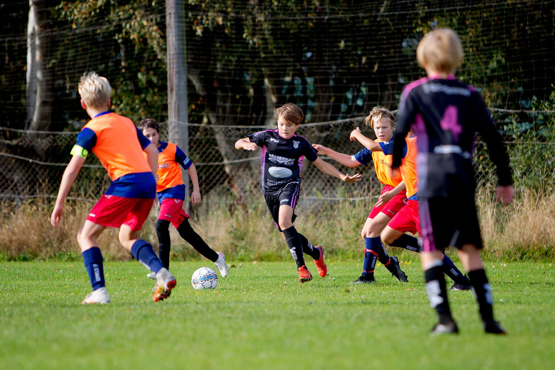 blogg-210926varolerkil4.jpg