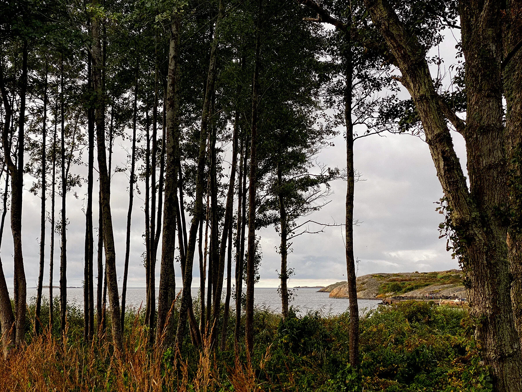 blogg-210929sanddammspromenad6.jpg