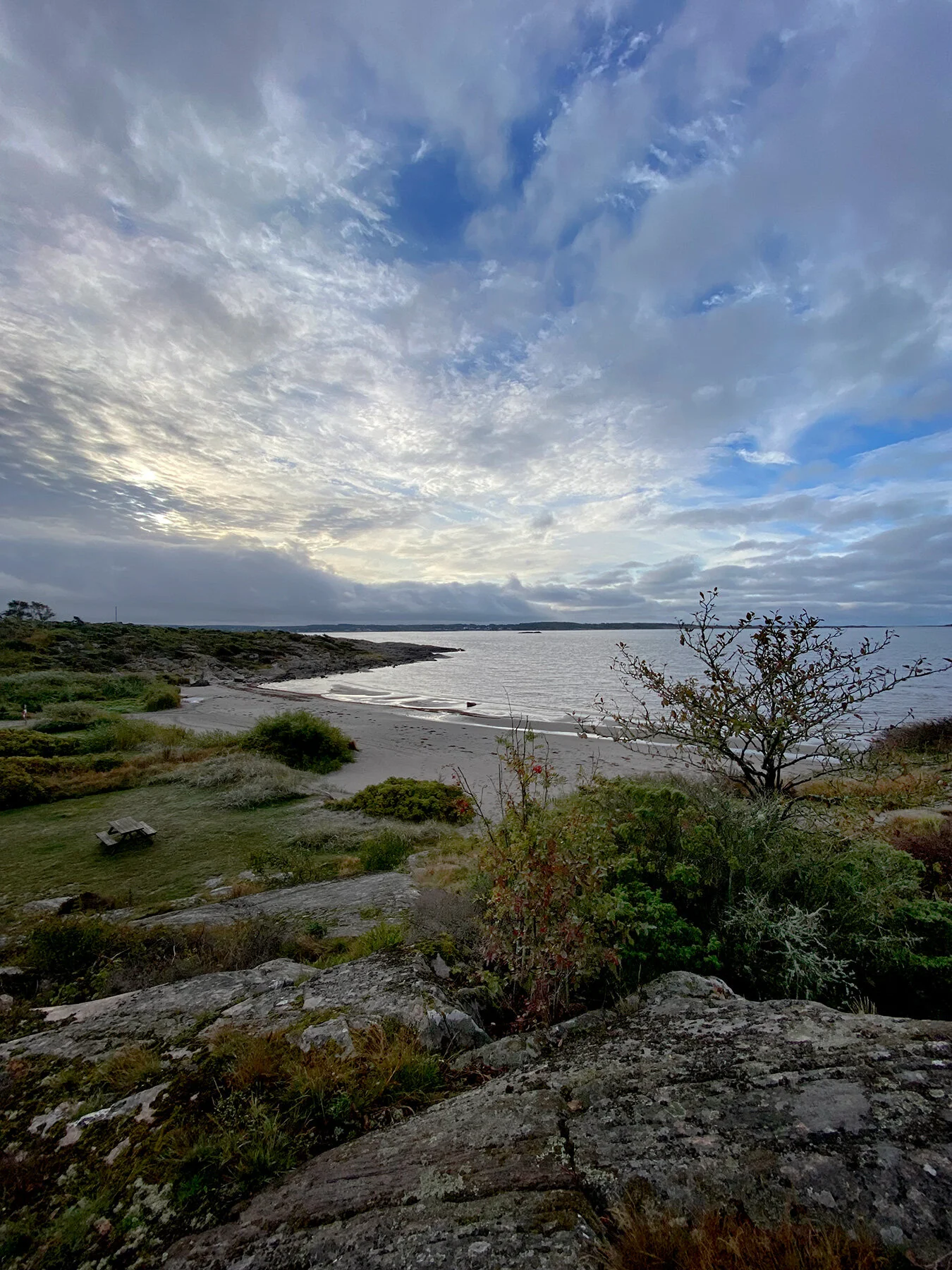 blogg-210929sanddammspromenad7.jpg