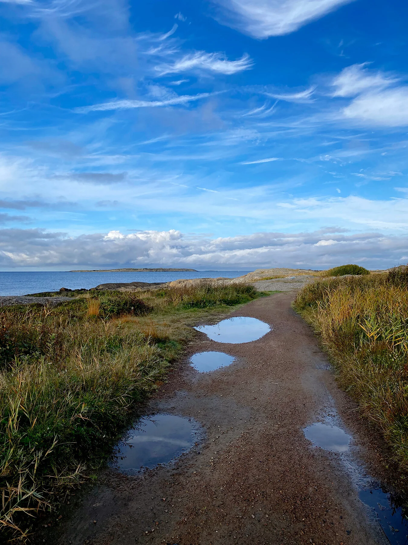 blogg-210929sanddammspromenad9.jpg