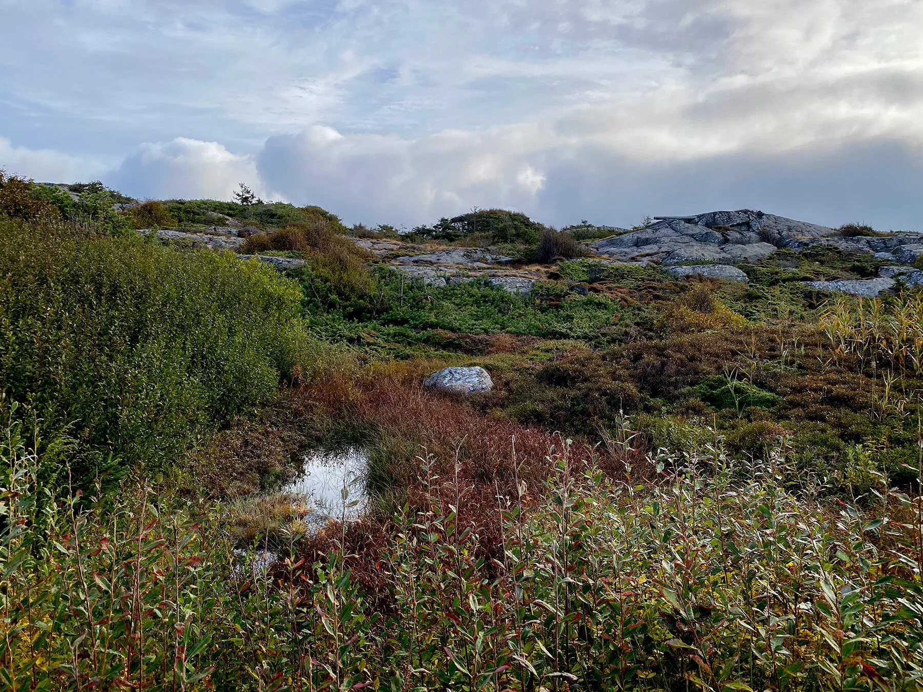 blogg-210929sanddammspromenad12.jpg