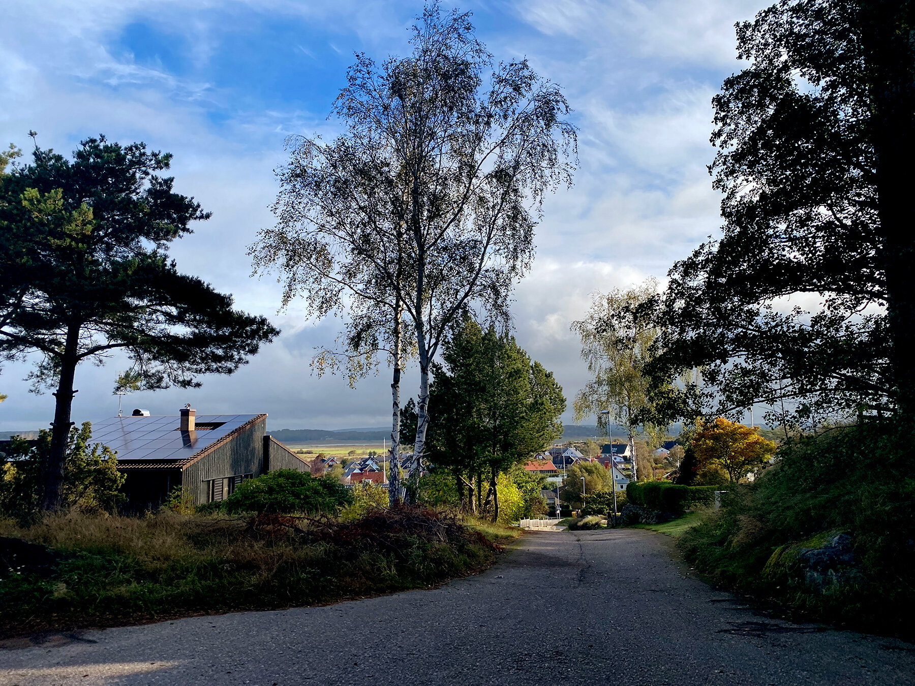 blogg-210929sanddammspromenad16.jpg