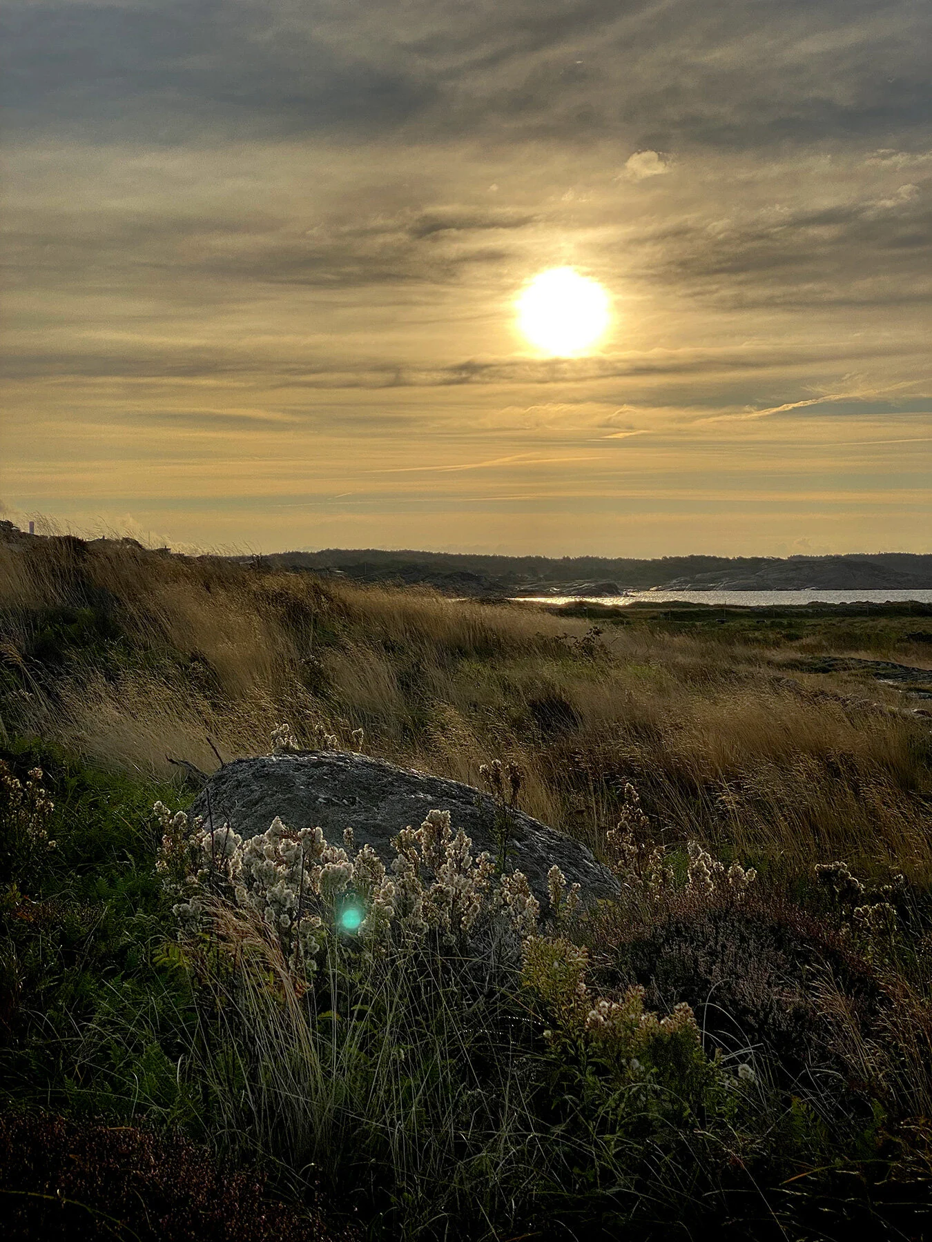 blogg-211007morgonpromenad4.jpg
