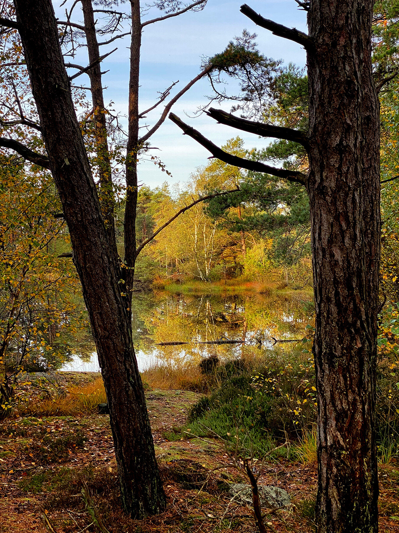 blogg-211007morgonpromenad6.jpg