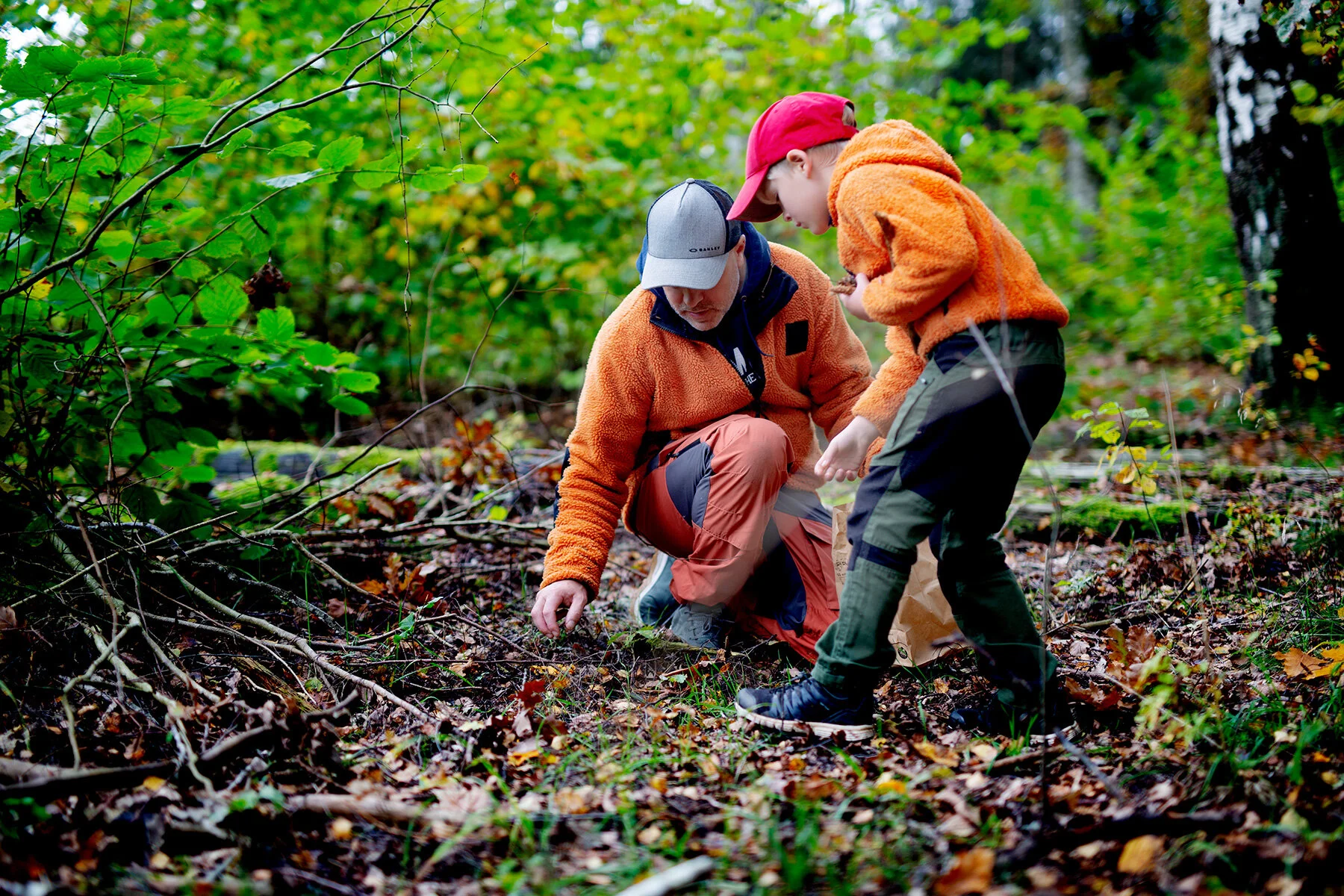 blogg-211010ambjorntorpskog7.jpg