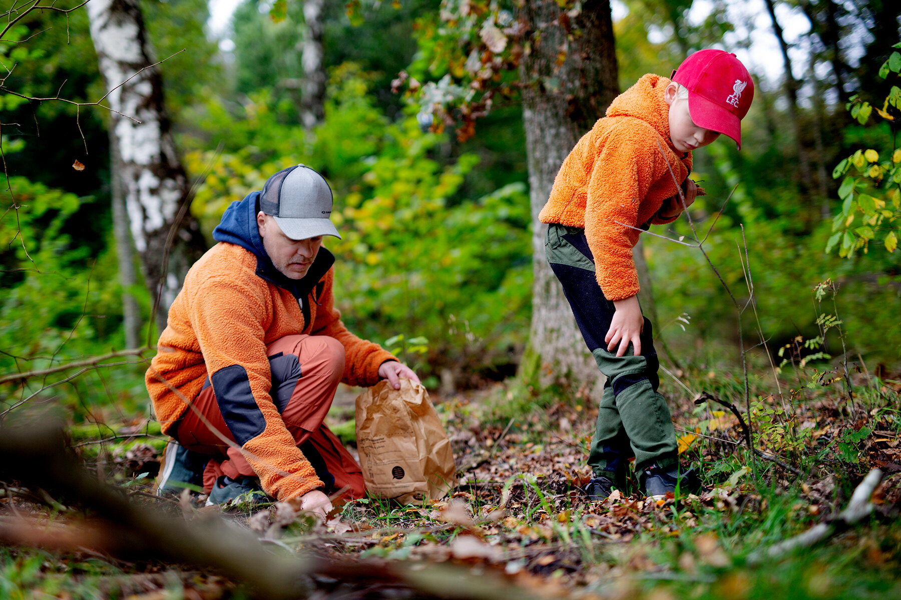 blogg-211010ambjorntorpskog15.jpg