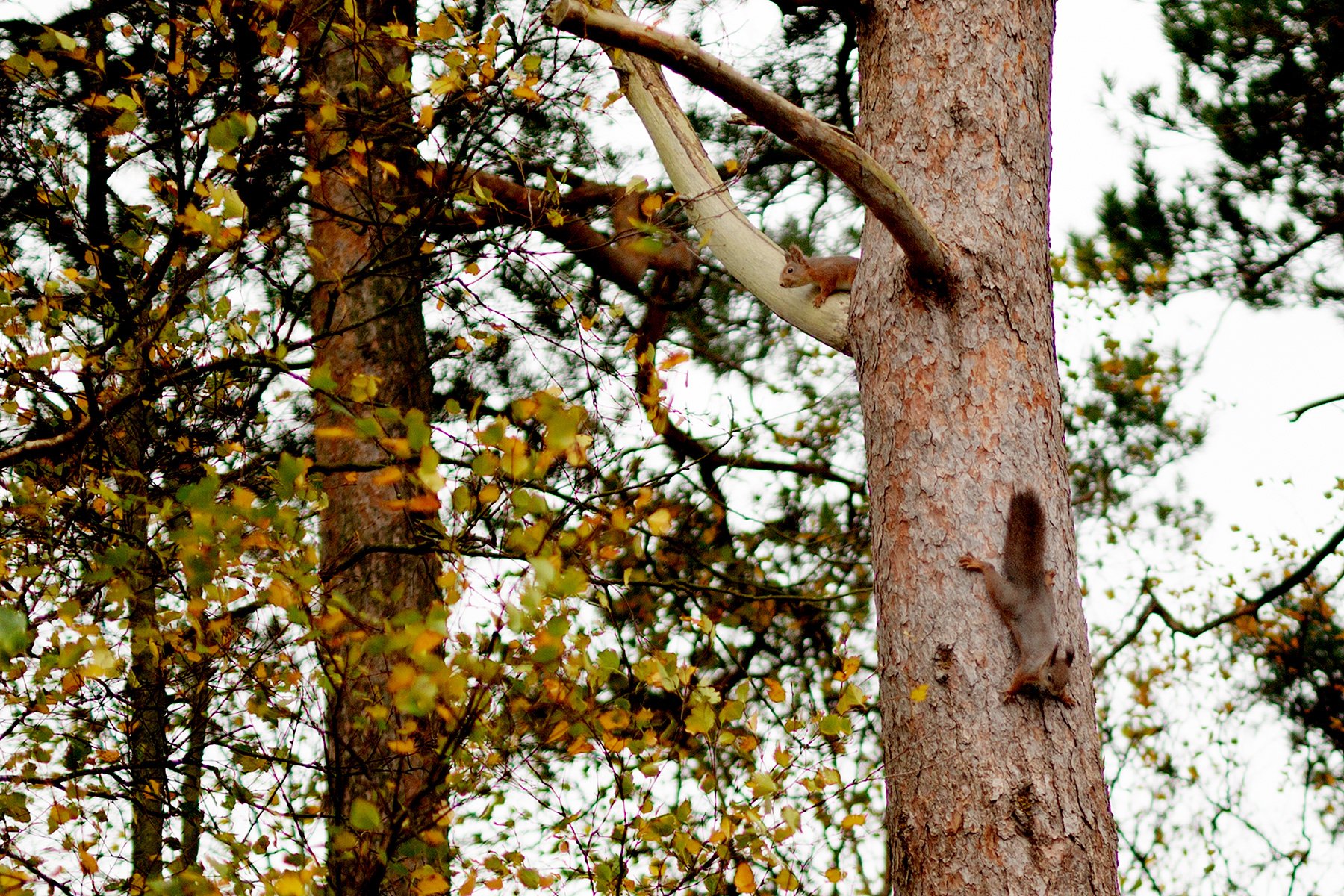 blogg-211024poangpromenad6.jpg