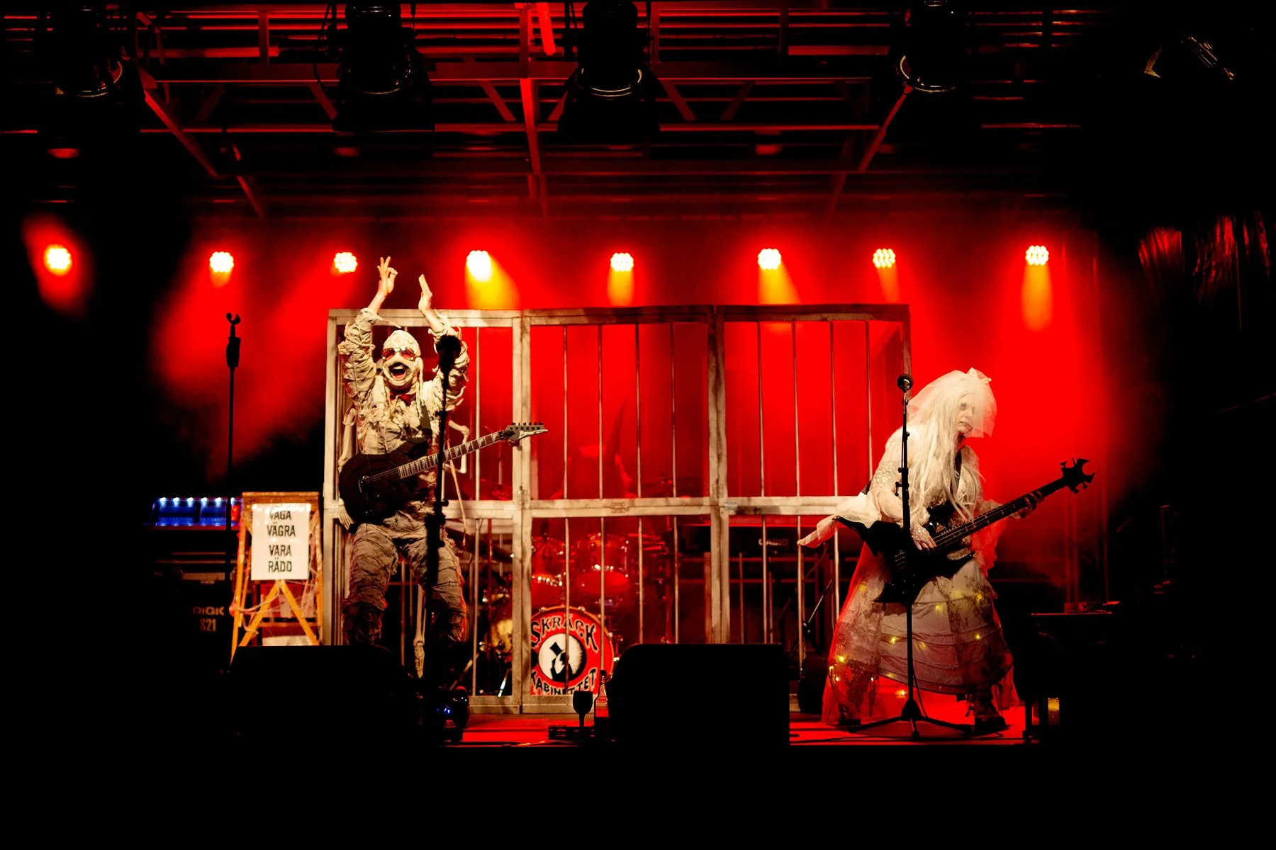 blogg-211029rysochmys2.jpg