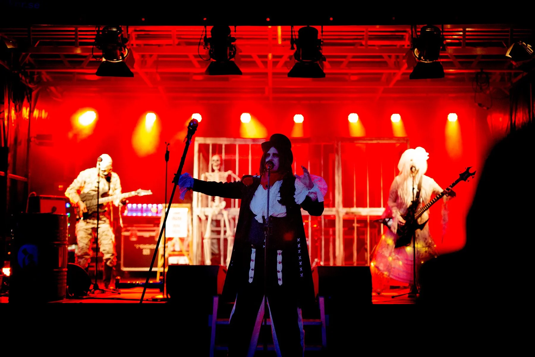 blogg-211029rysochmys4.jpg