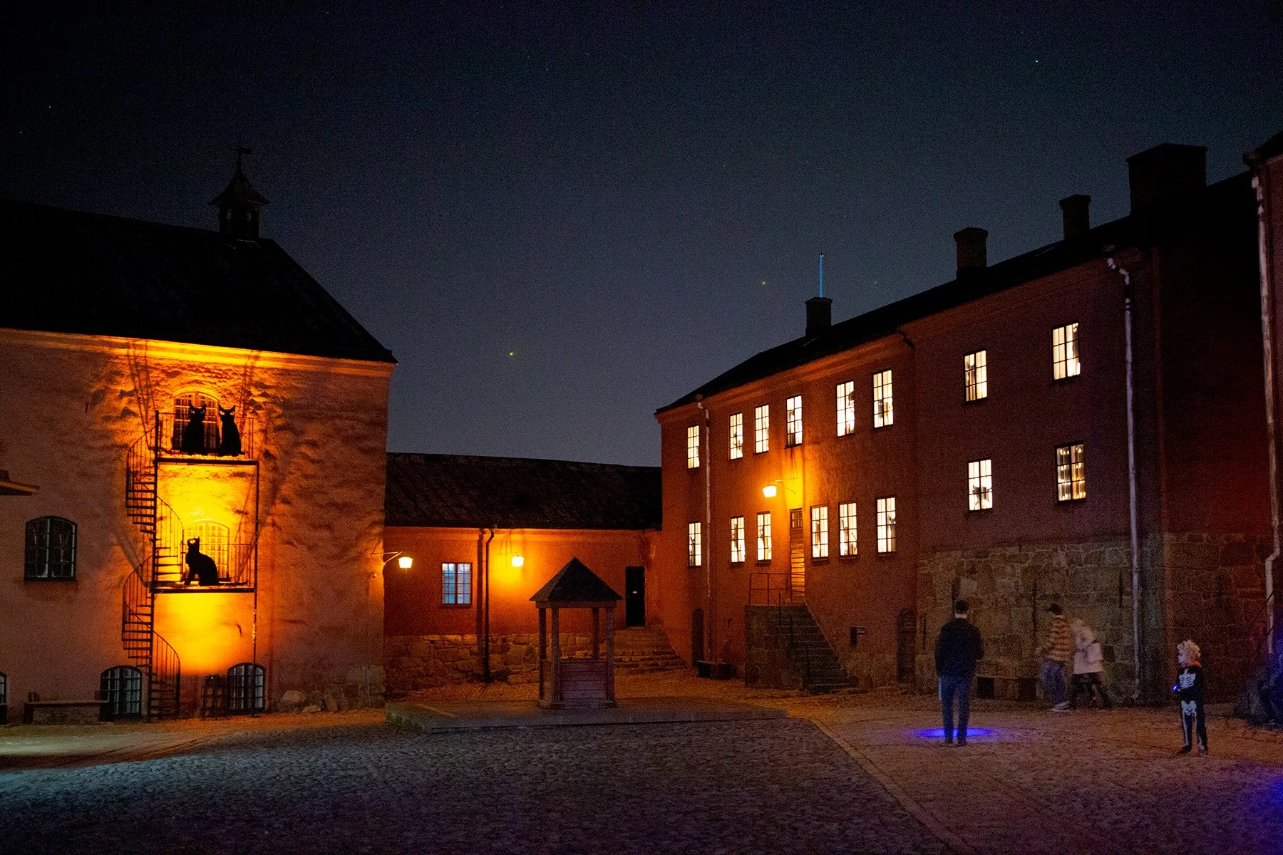 blogg-211029rysochmys17.jpg