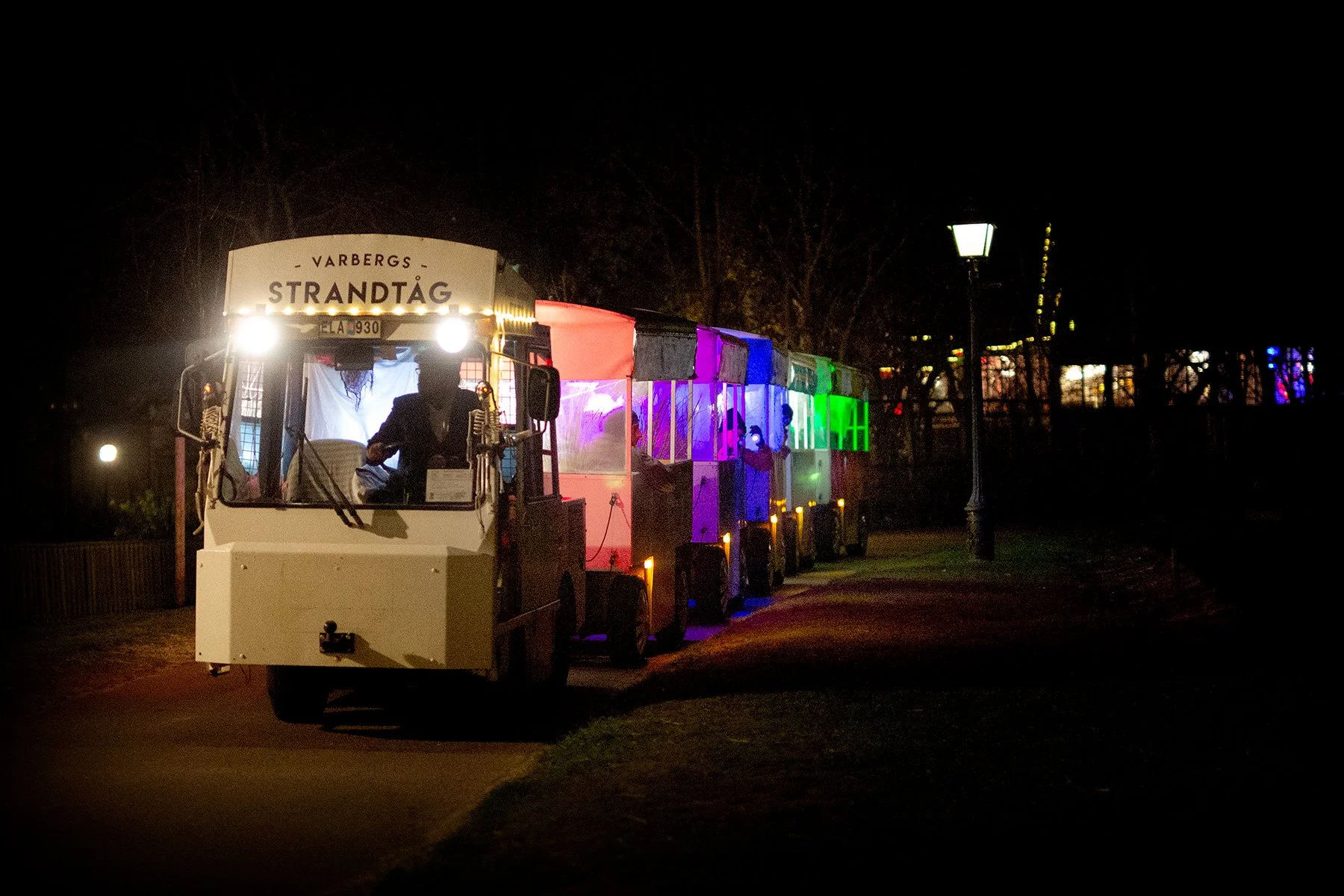 blogg-211029rysochmys22.jpg