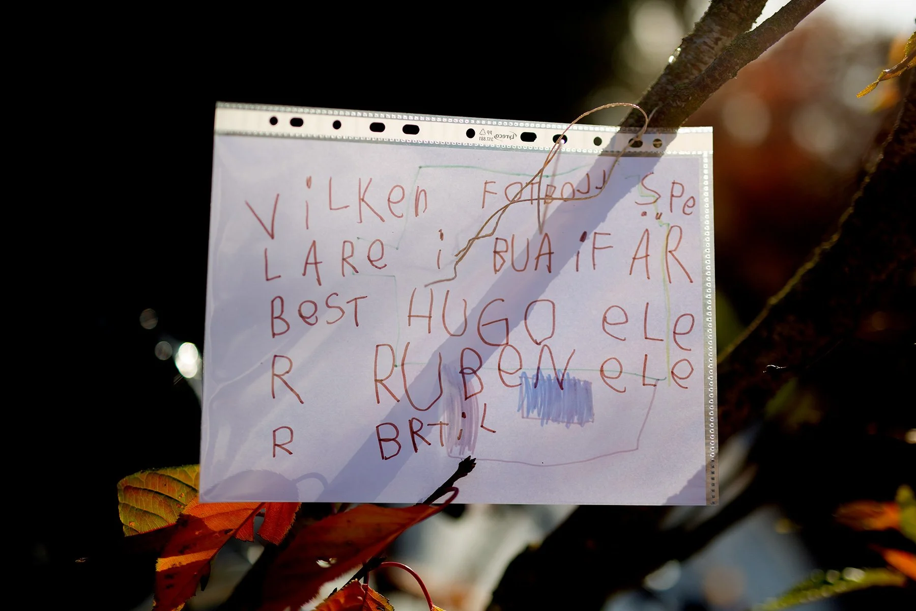 blogg-211031poangpromenad3.jpg
