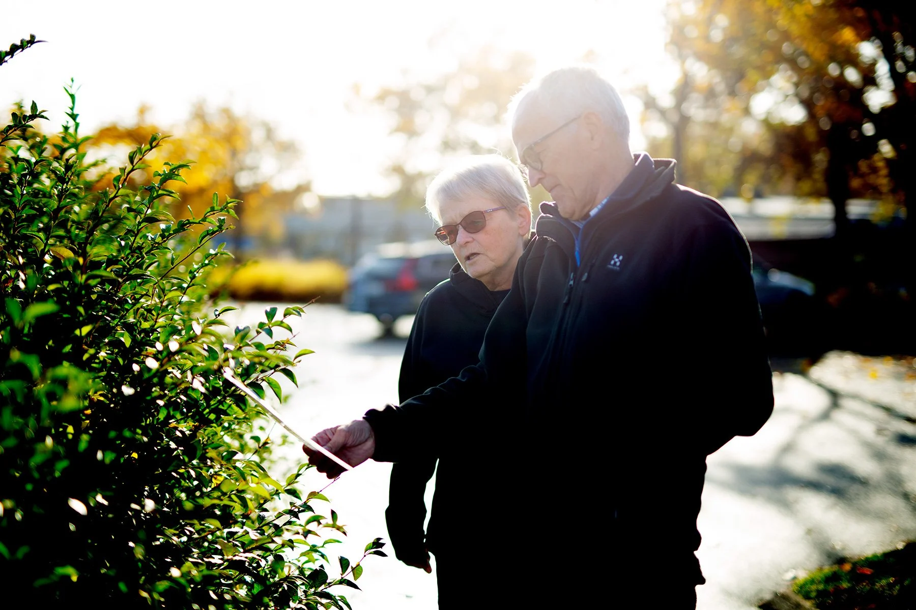 blogg-211031poangpromenad8.jpg