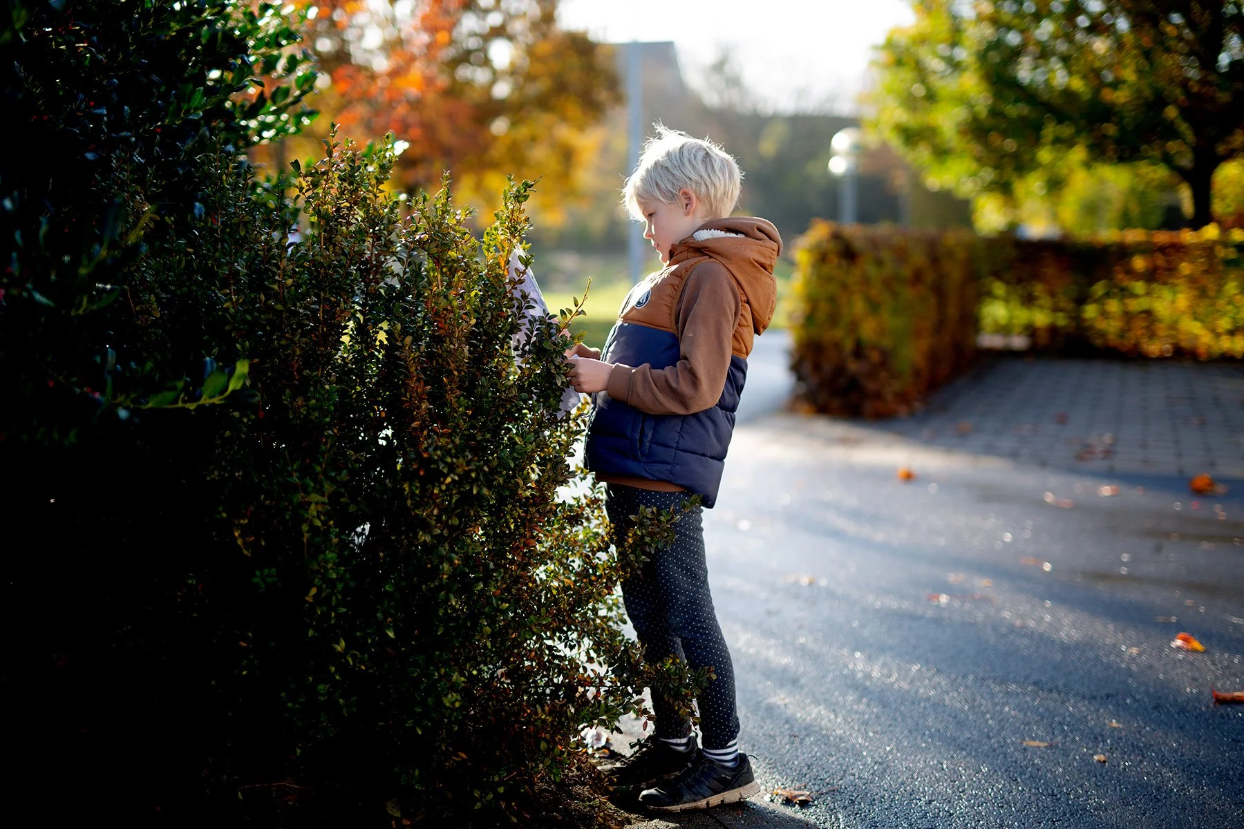 blogg-211031poangpromenad10.jpg