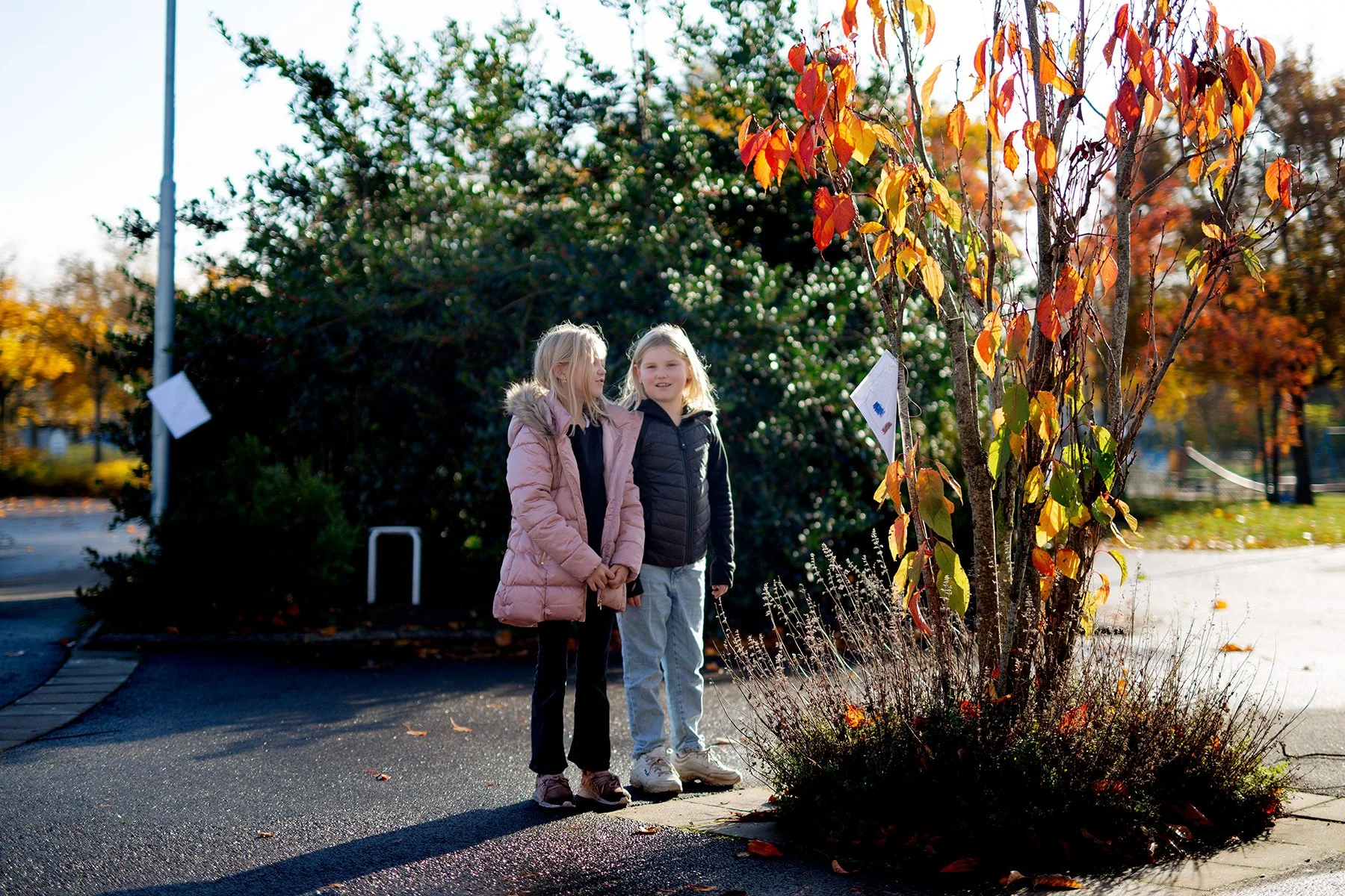 blogg-211031poangpromenad16.jpg