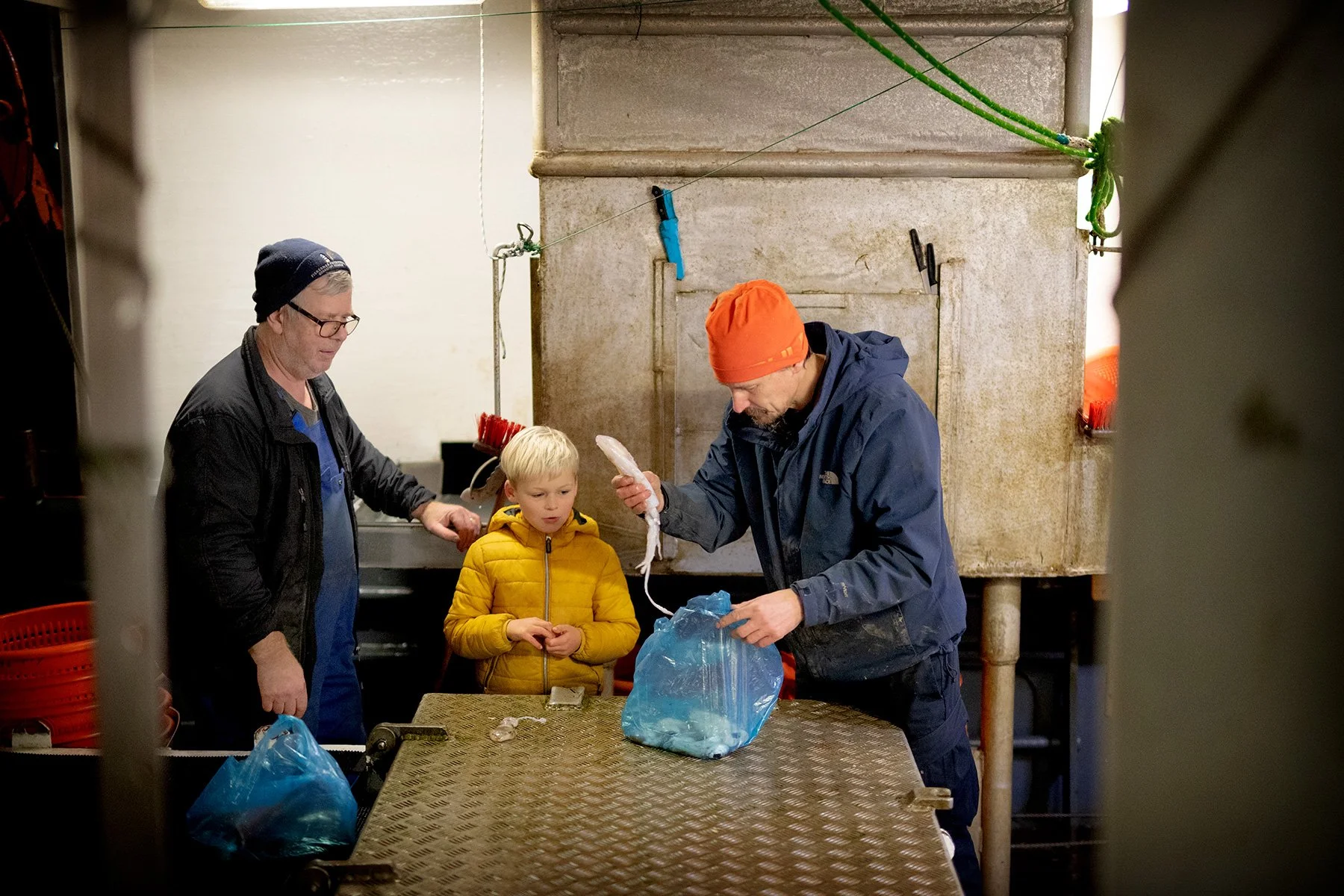 blogg-211125mikaelrydstenpaalmy6.jpg