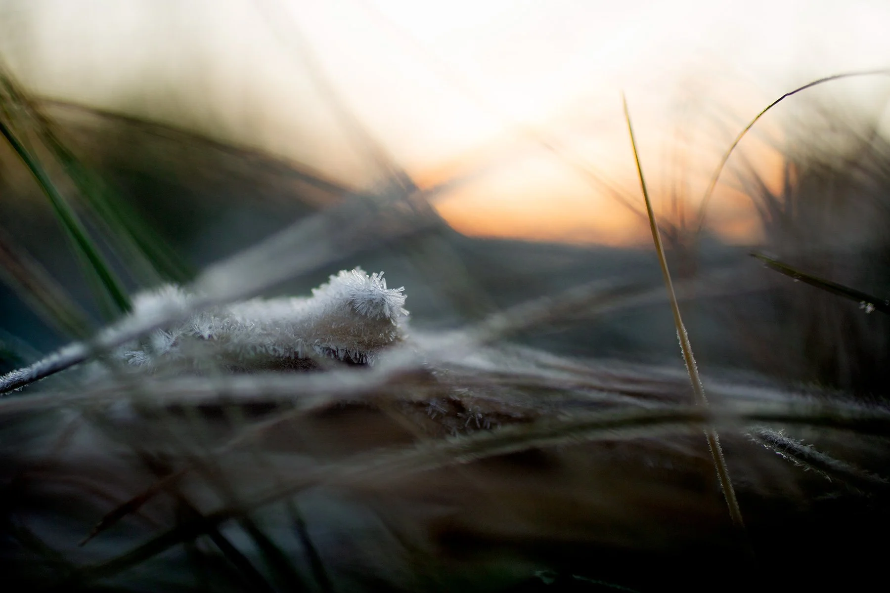 blogg-211129balepromenad4.jpg