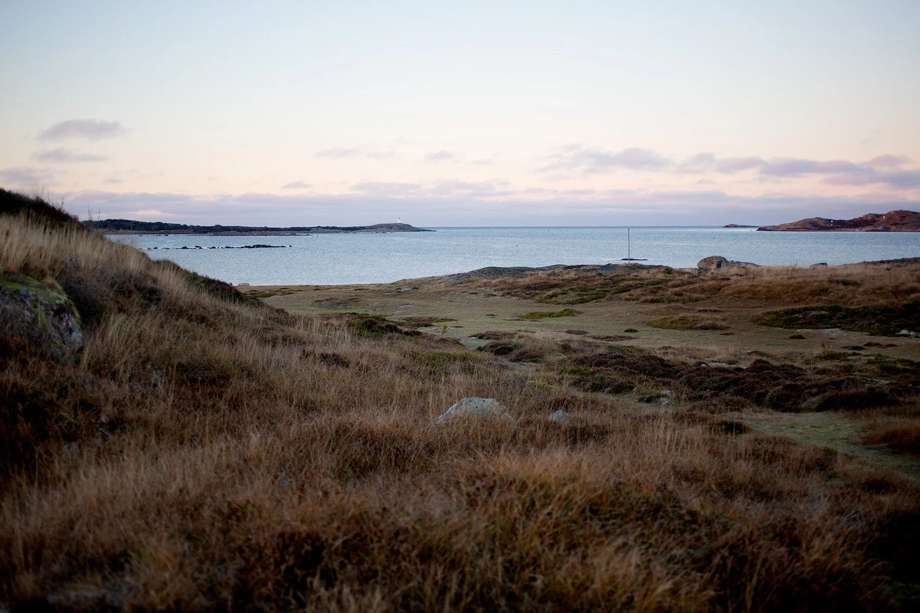 blogg-211129balepromenad3.jpg
