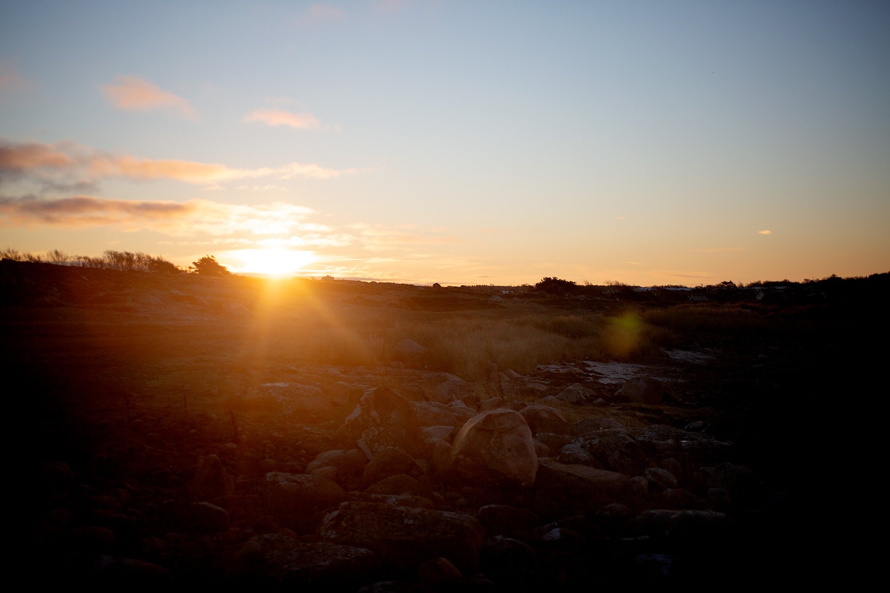 blogg-211129balepromenad9.jpg