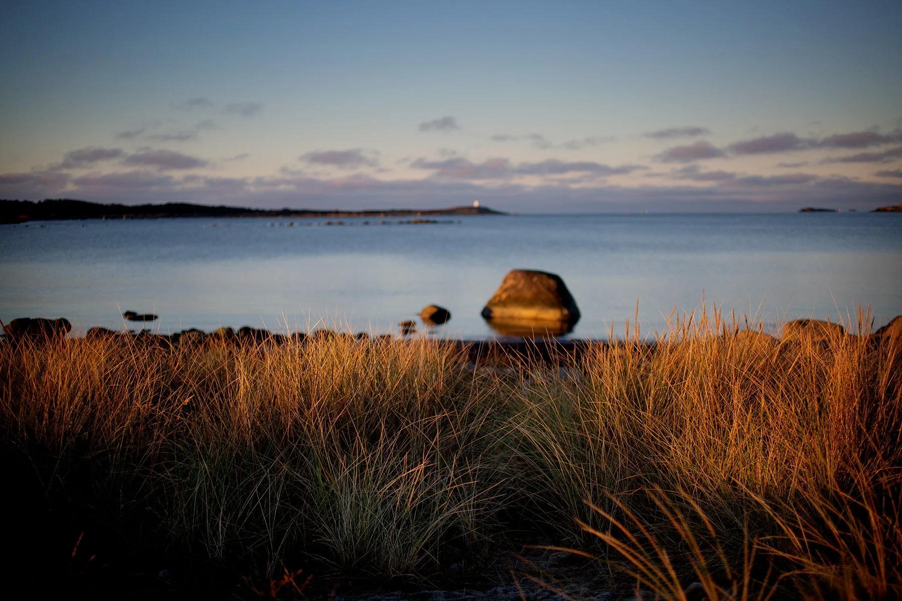 blogg-211129balepromenad15.jpg