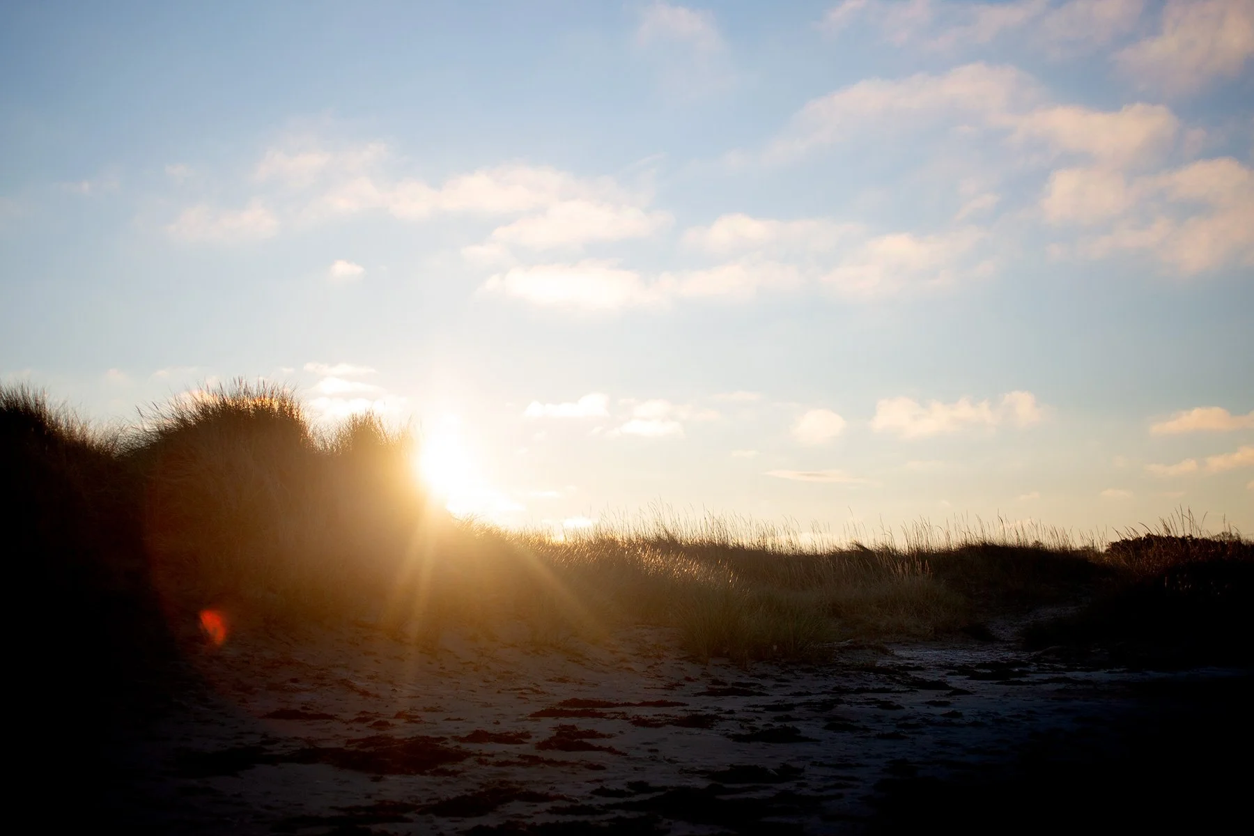 blogg-211129balepromenad17.jpg