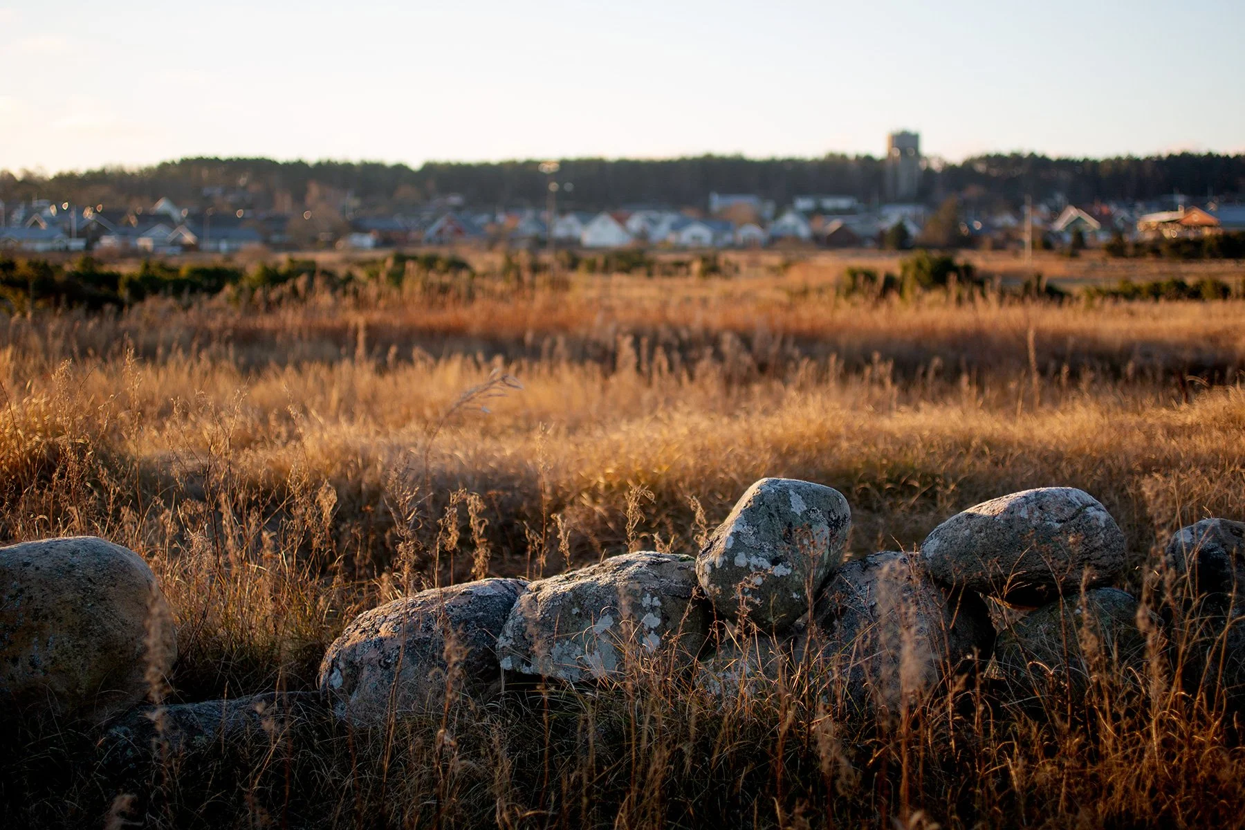 blogg-211129balepromenad31.jpg