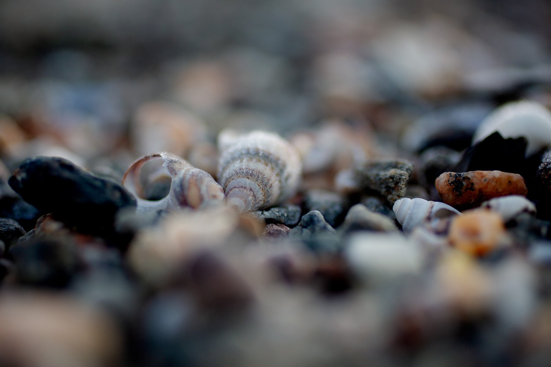 blogg-211129balepromenad26.jpg