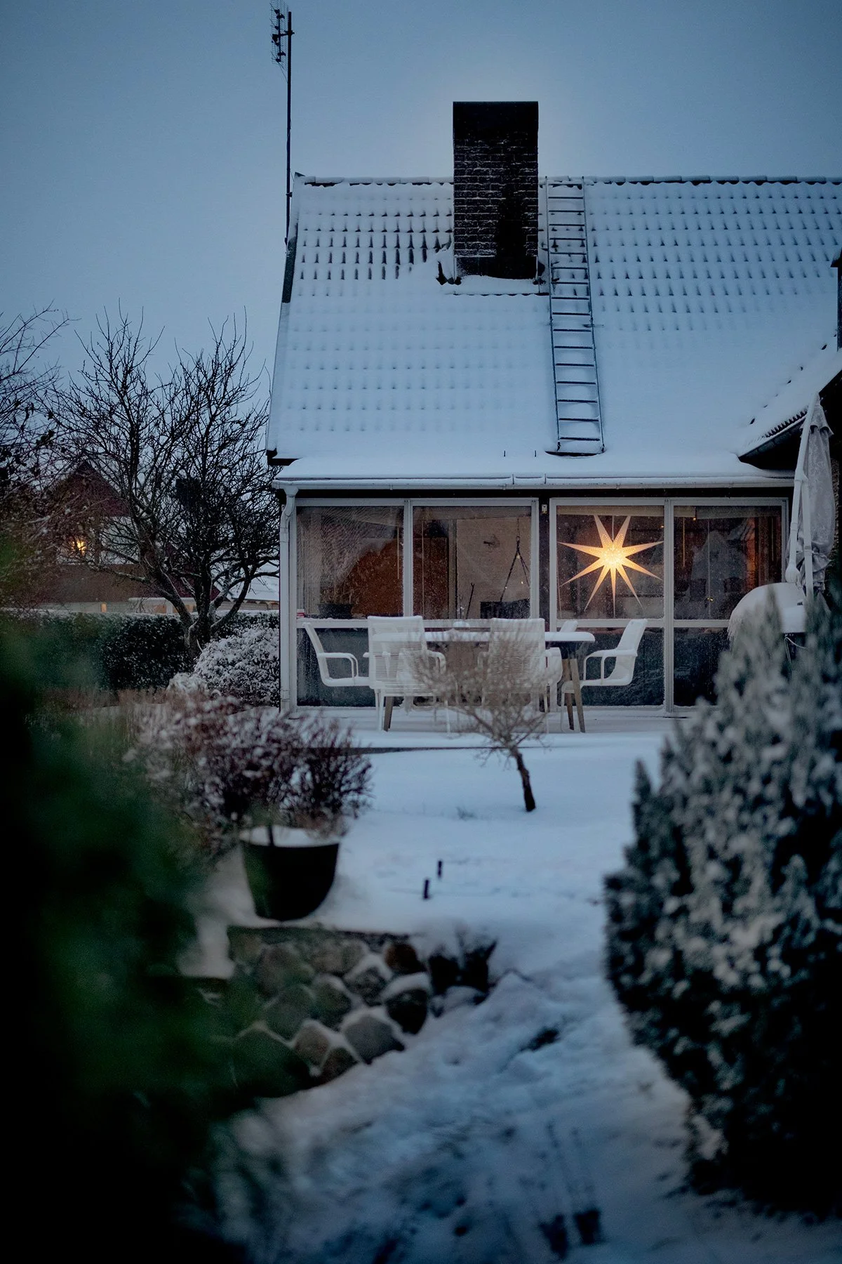 blogg-211130snomorgon5.jpg