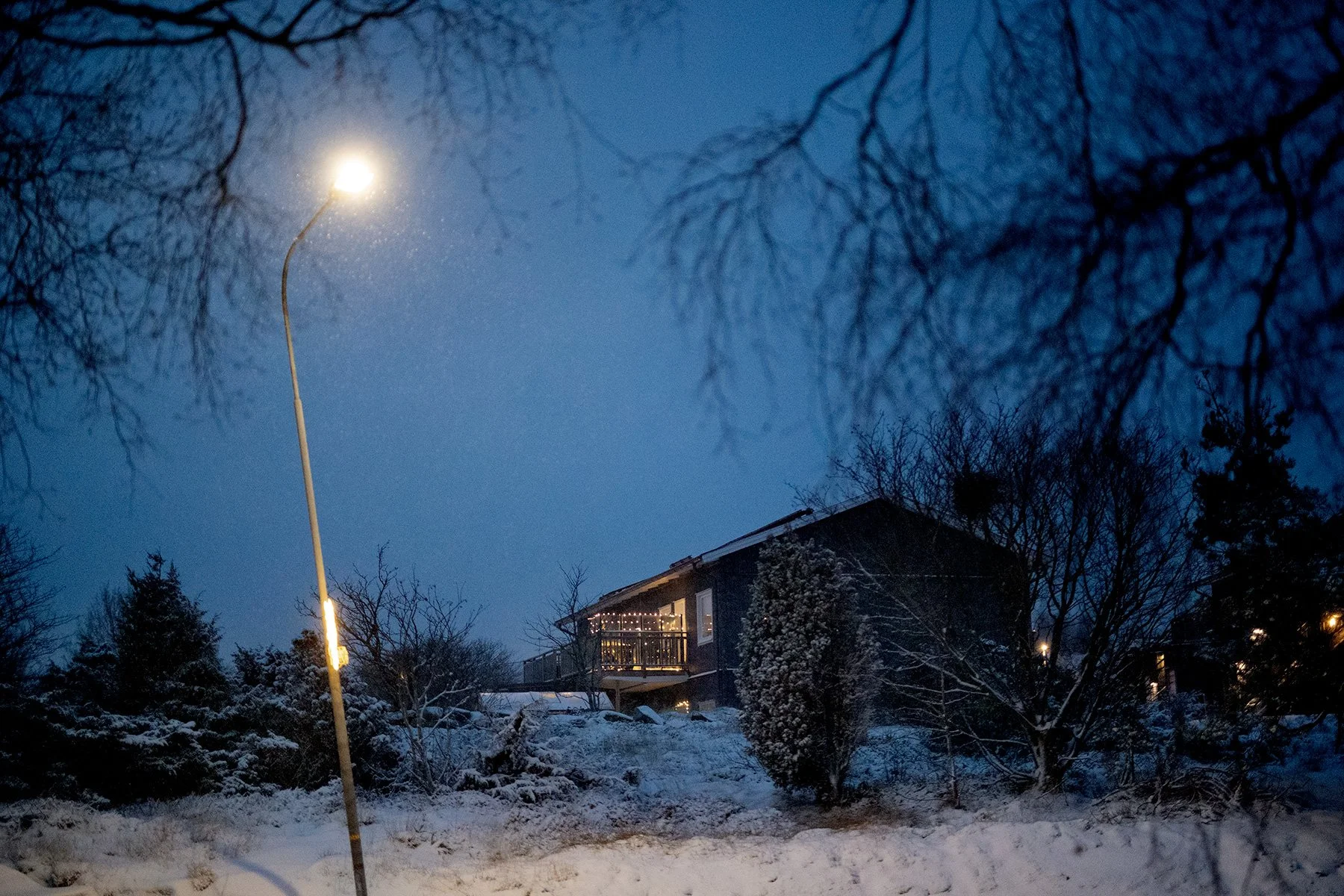 blogg-211130snomorgon22.jpg
