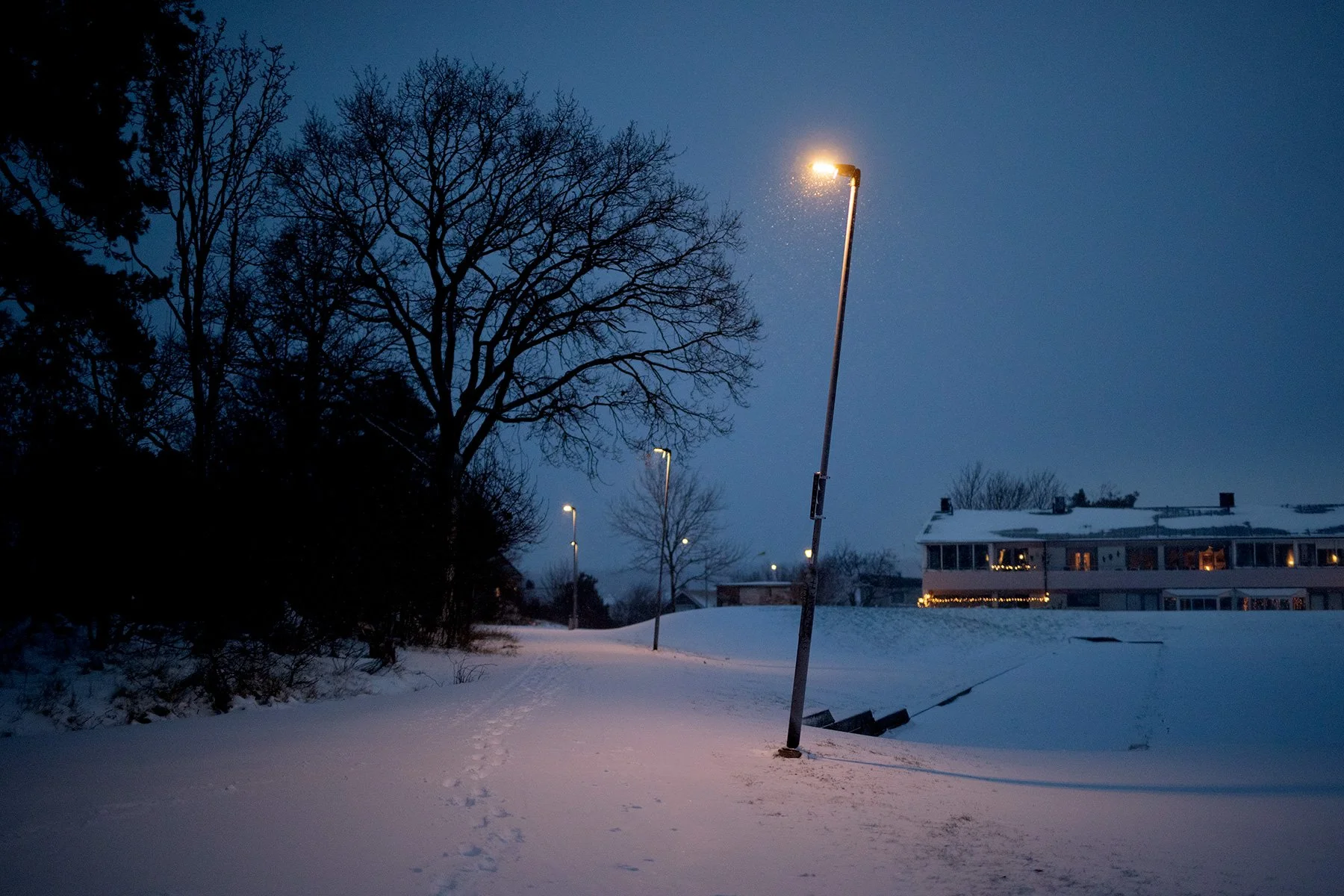 blogg-211130snomorgon24.jpg
