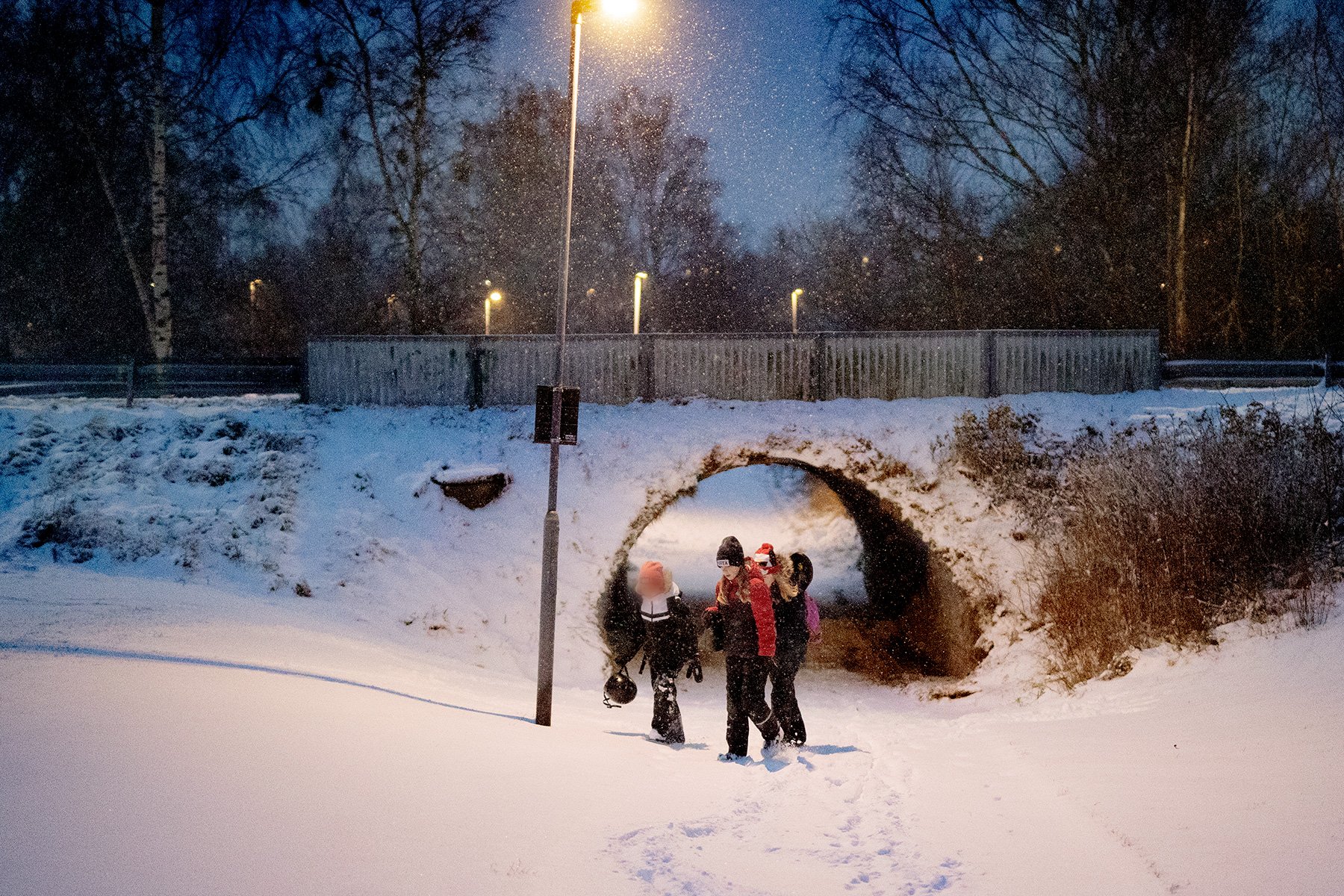 blogg-211130snomorgon25.jpg