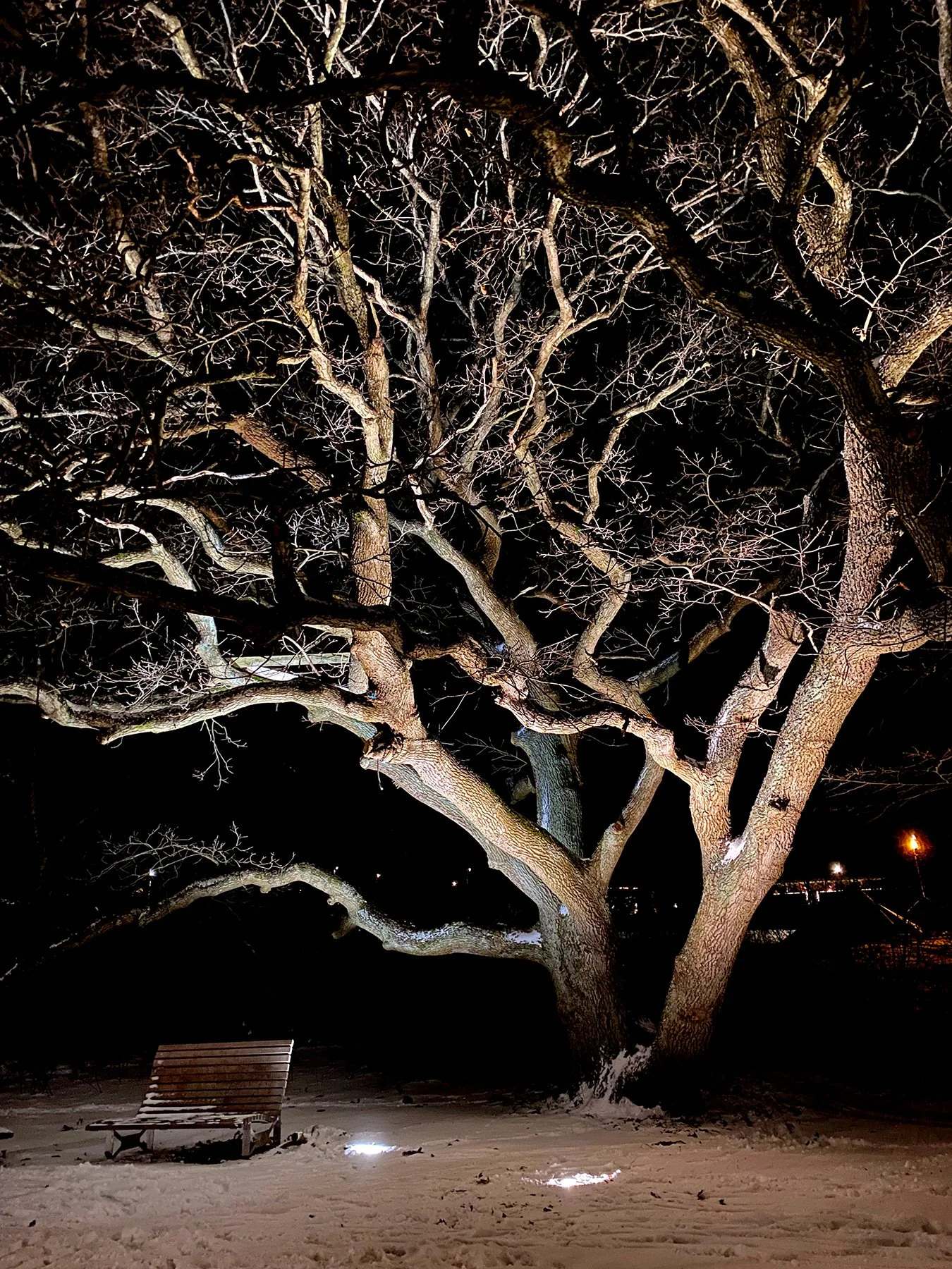 blogg-211204rubenpulkakvall1.jpg