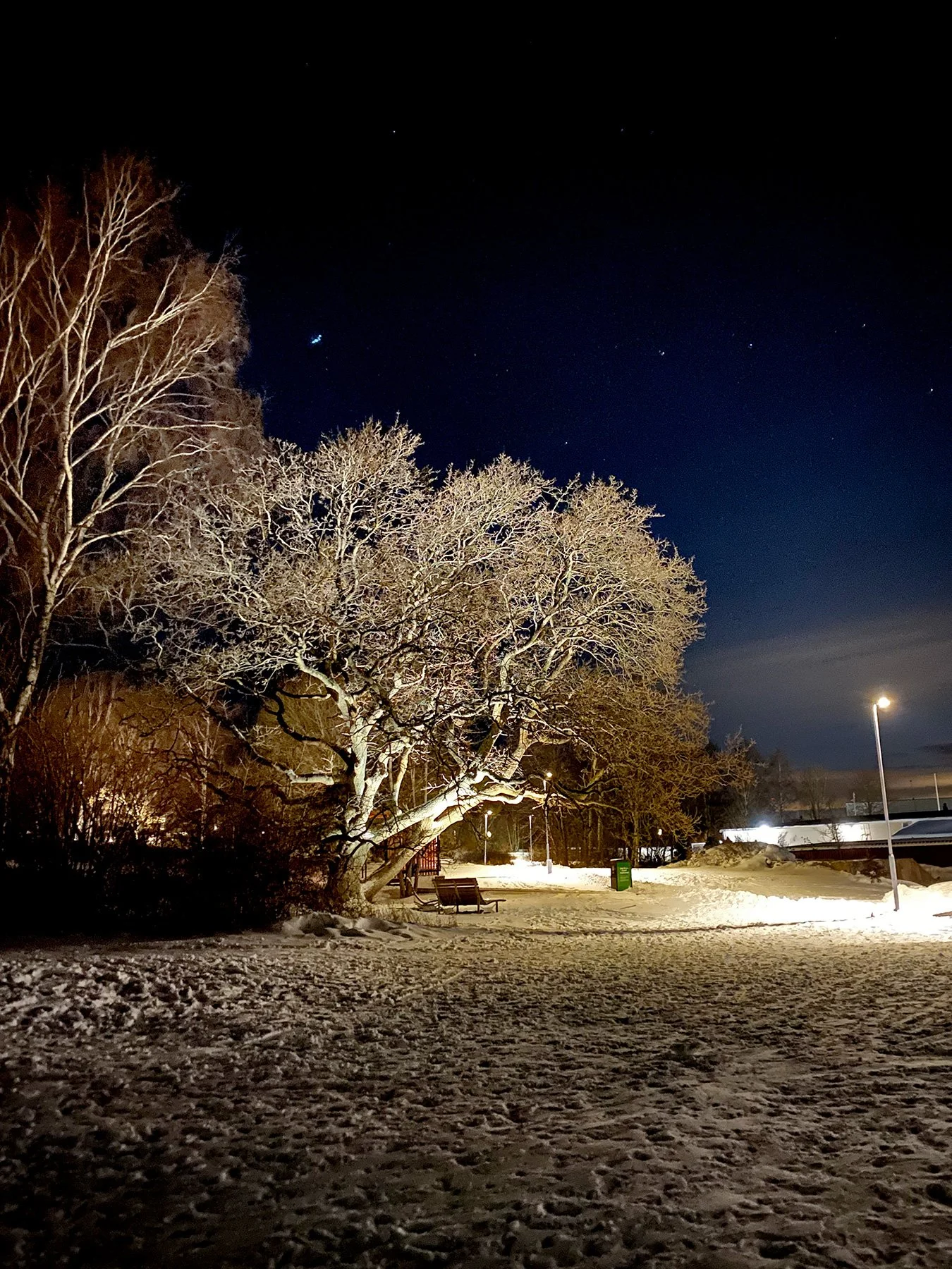 blogg-211204rubenpulkakvall6.jpg