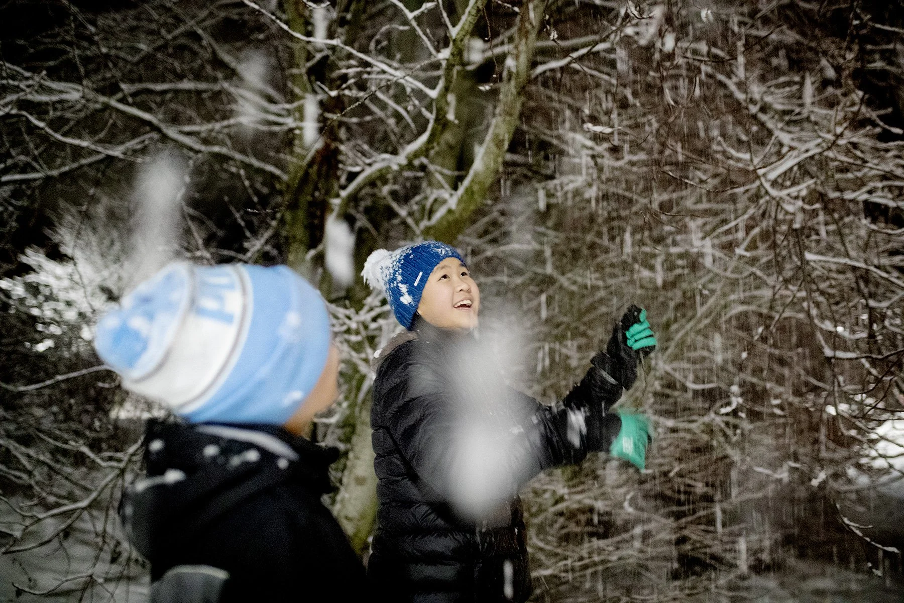 blogg-211210snobollskrig16.jpg