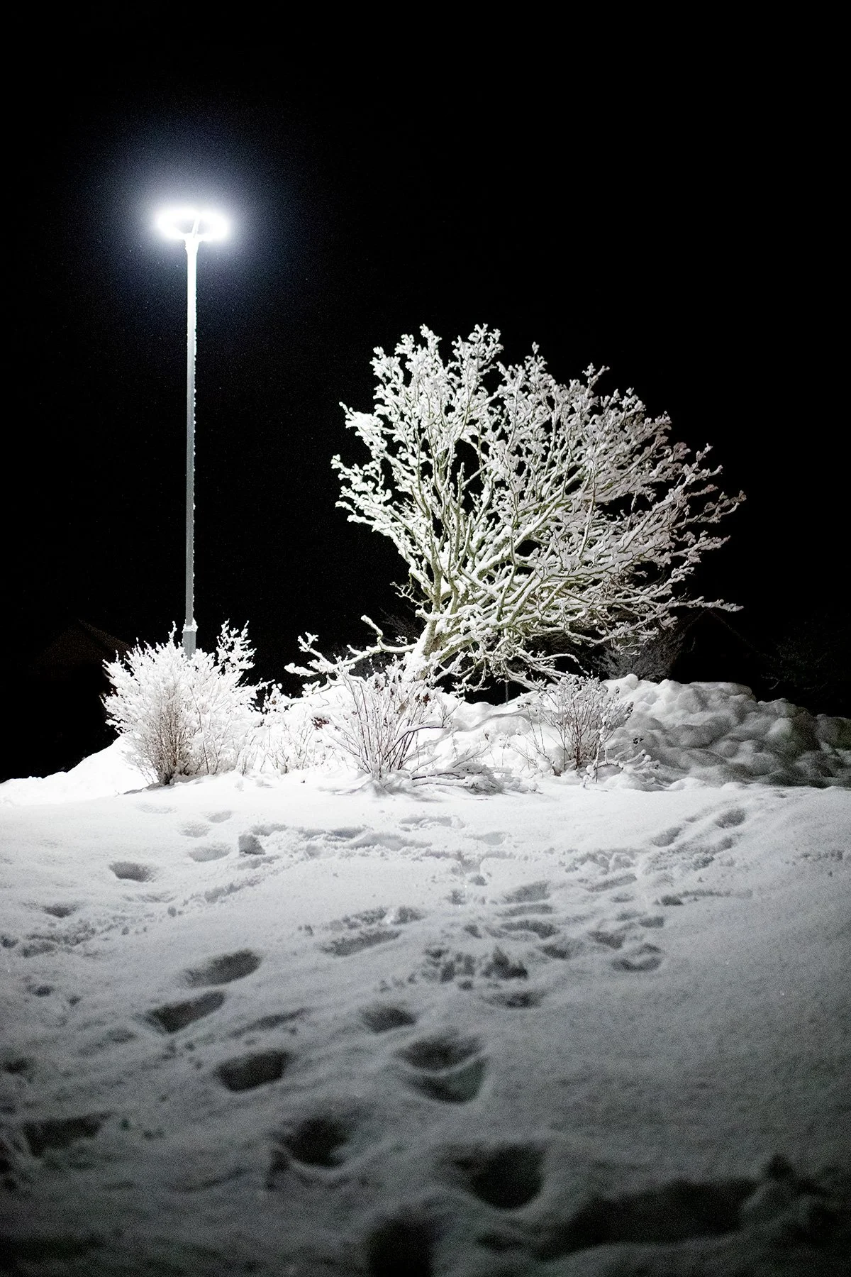 blogg-211210snobollskrig19.jpg