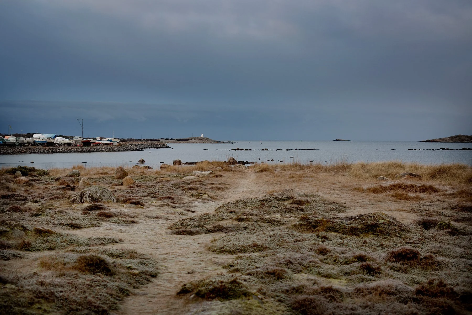 blogg-211221baleis9.jpg