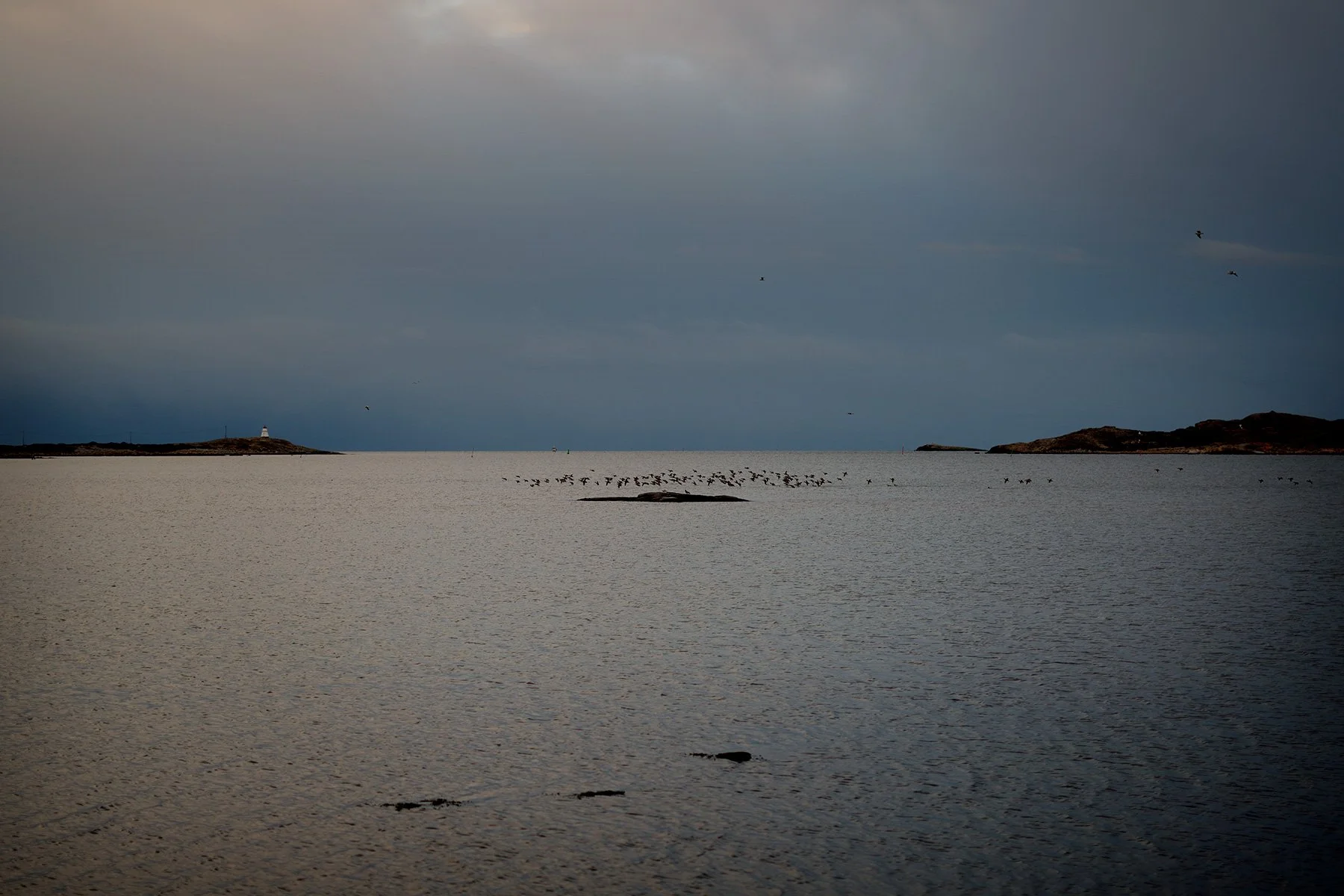 blogg-211221baleis26.jpg