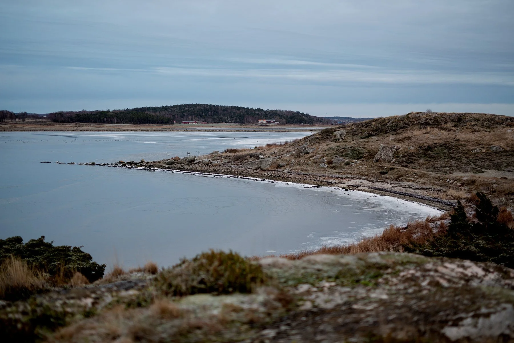 blogg-211221baleis38.jpg