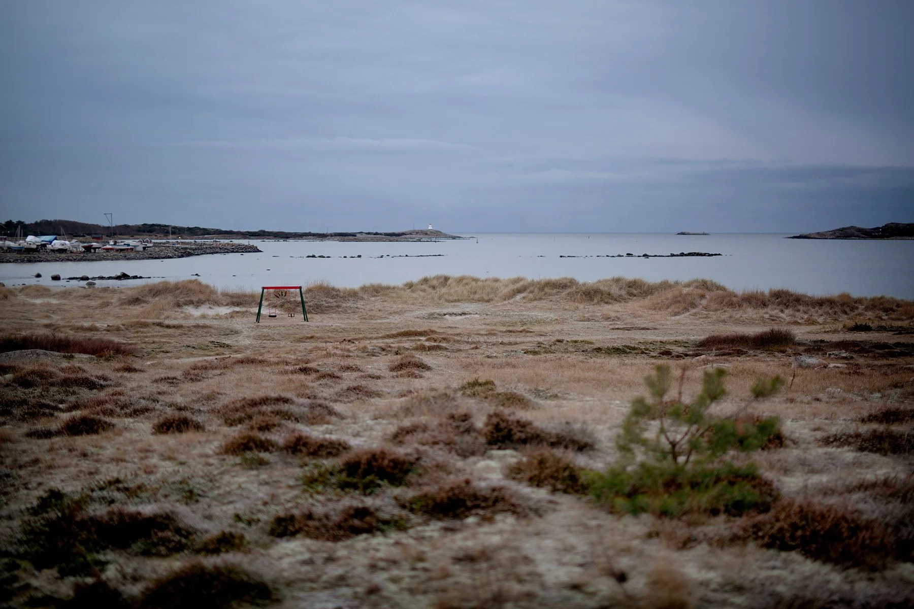 blogg-211221baleis47.jpg