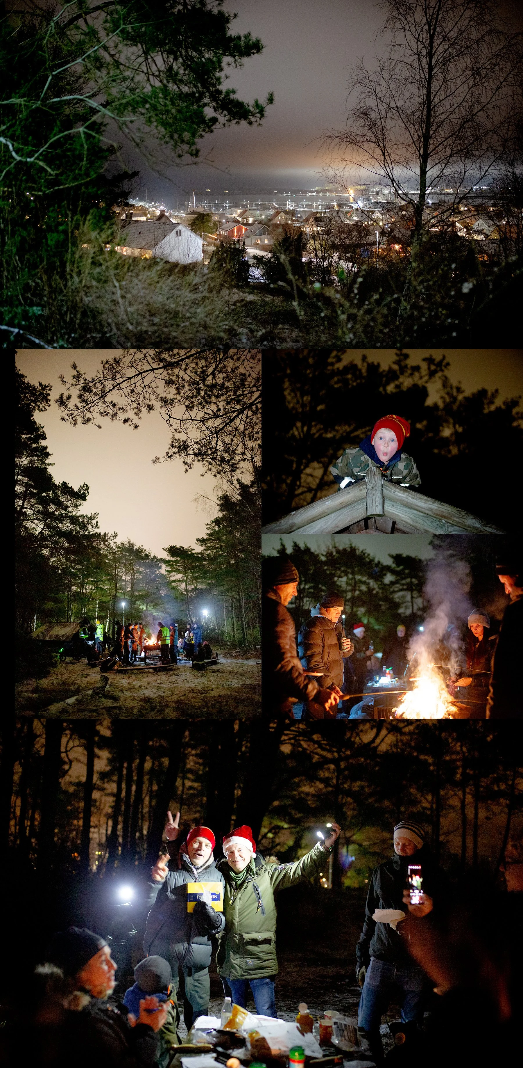 Skog och eld