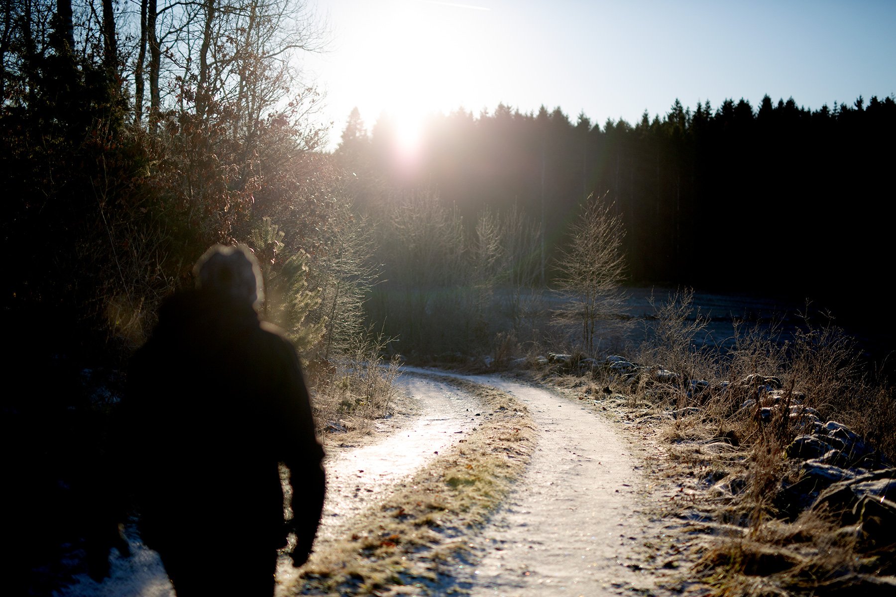 blogg-211225juldagisallstorp4.jpg