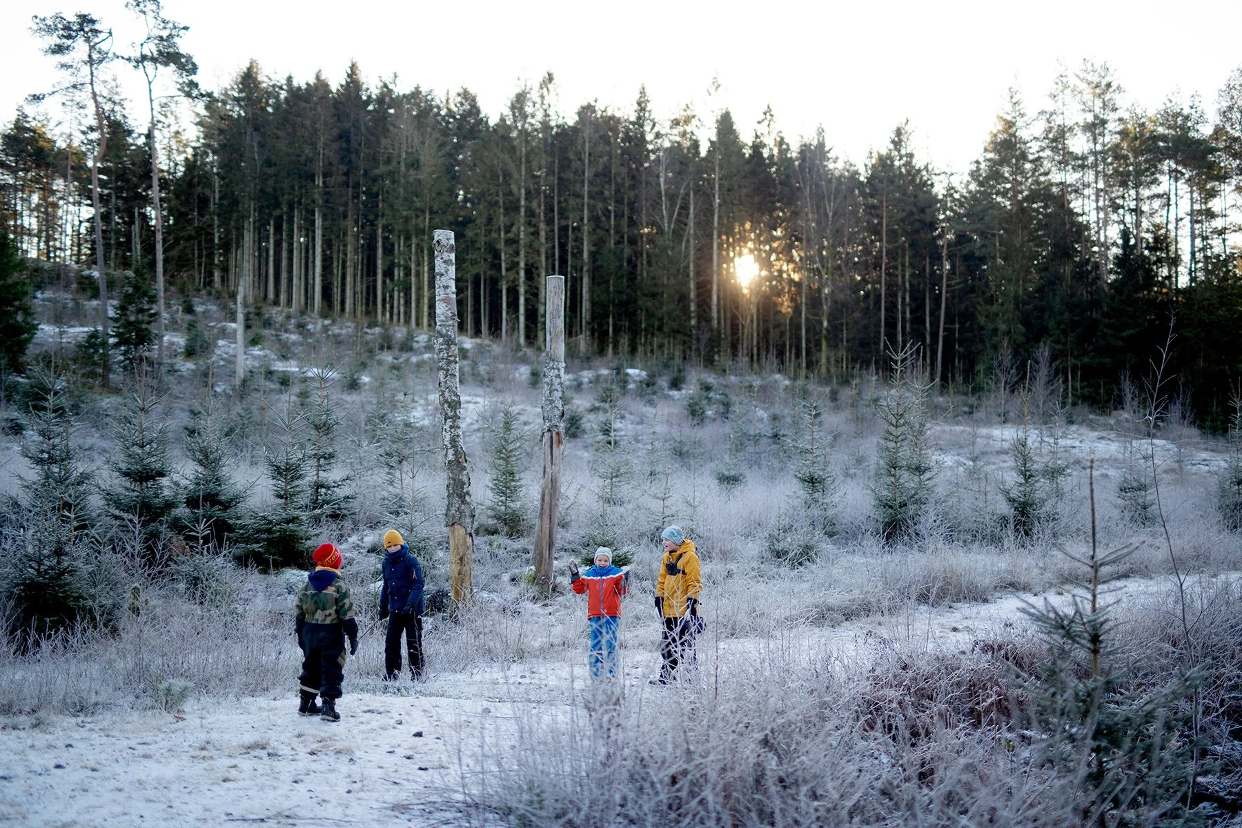 blogg-211225juldagisallstorp5.jpg